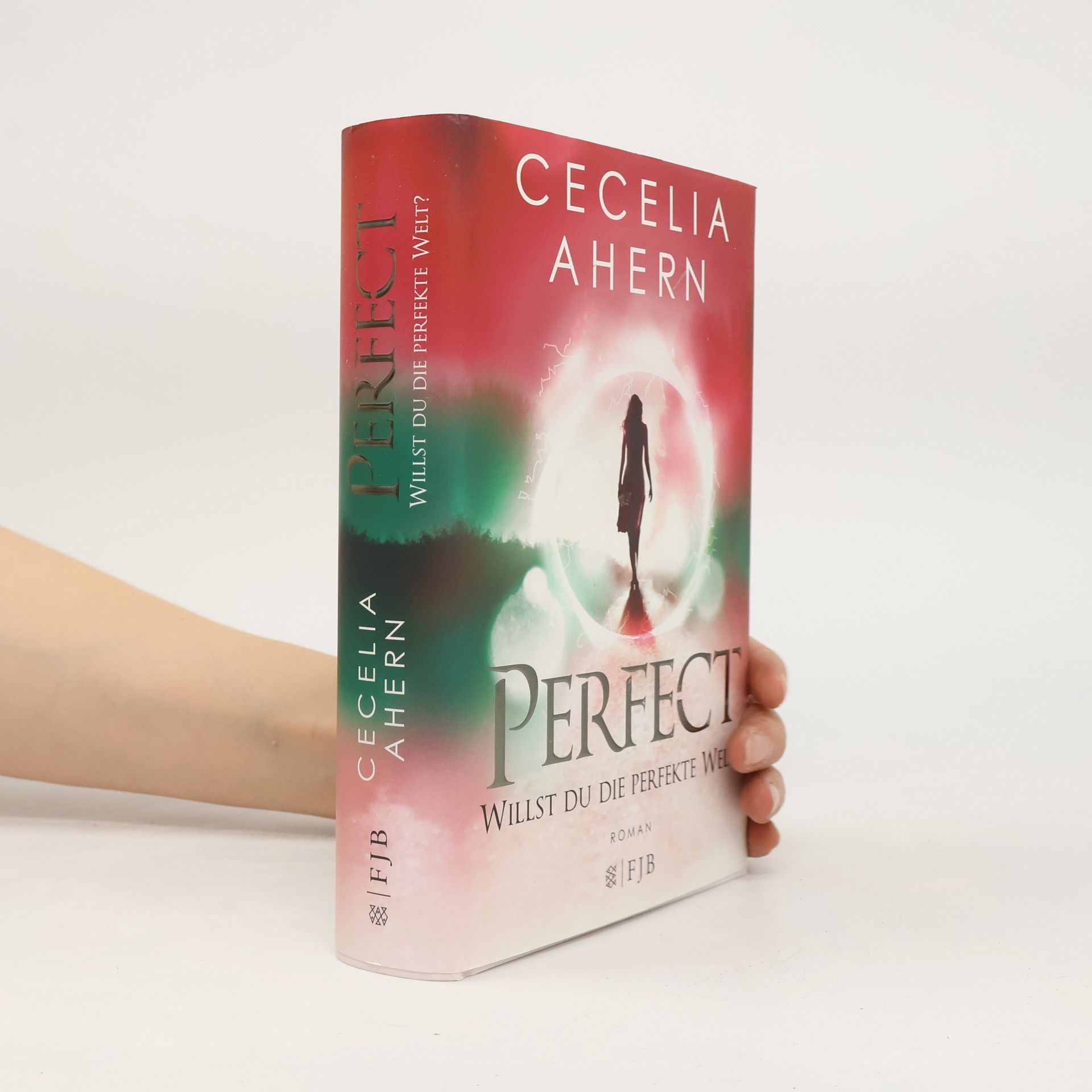 Cecelia Ahern Perfect - willst du die perfekte Welt?