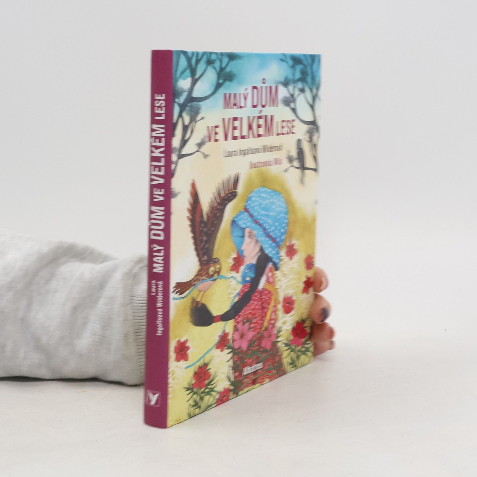 Malý dům ve Velkém lese