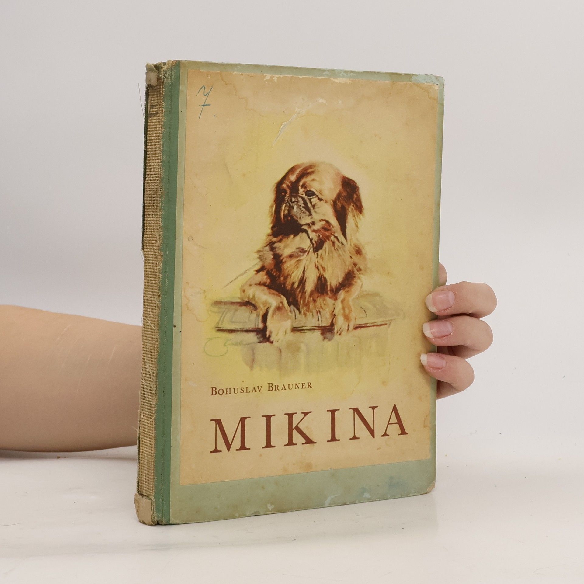 Bohuslav Brauner Mikina