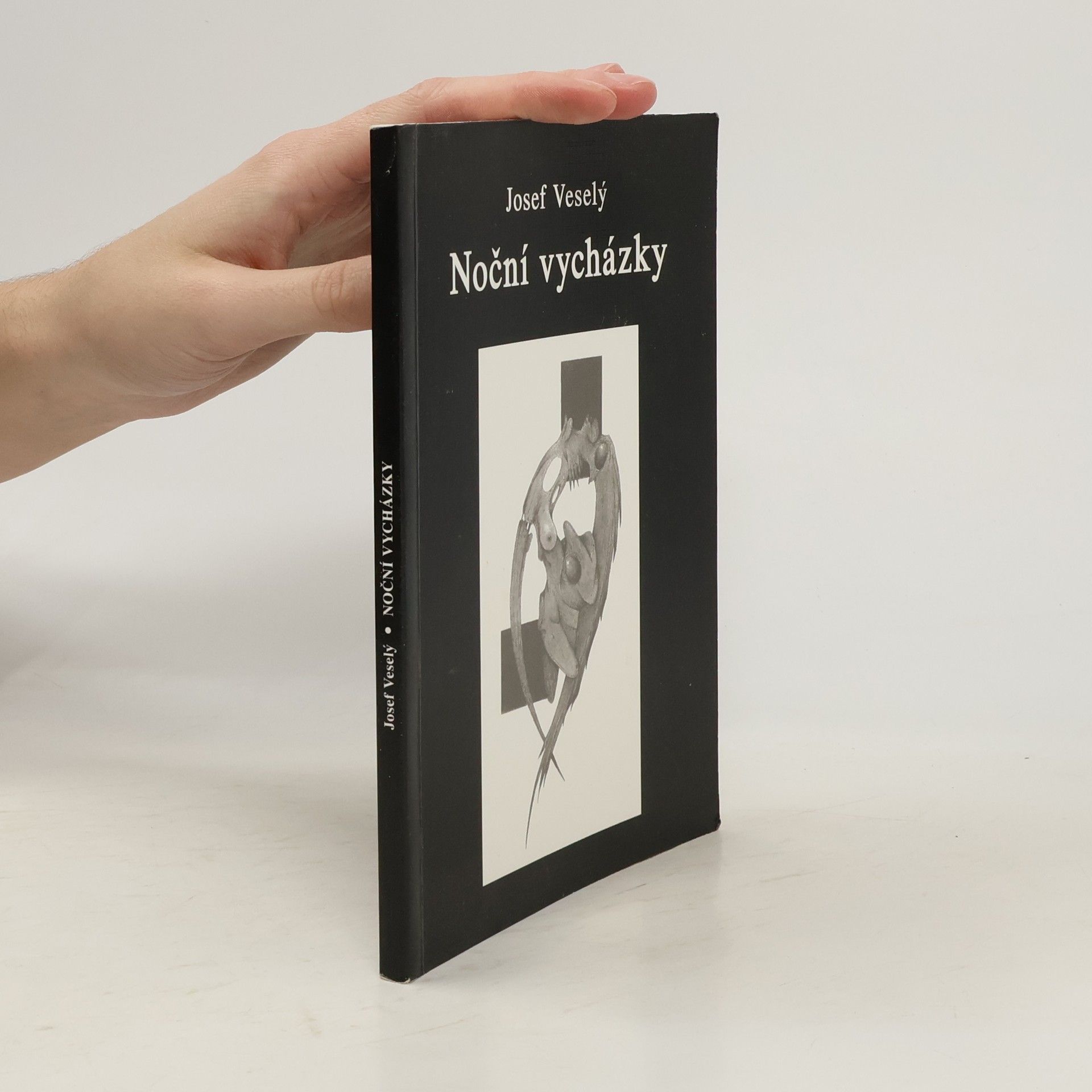 Josef Veselý Noční vycházky