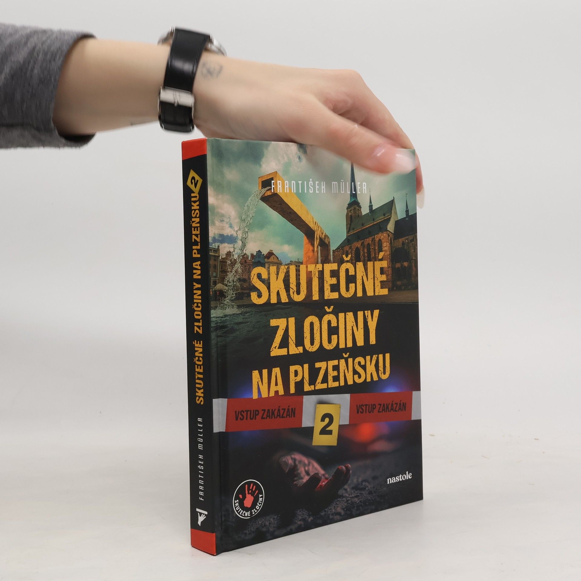 Skutečné zločiny na Plzeňsku 2