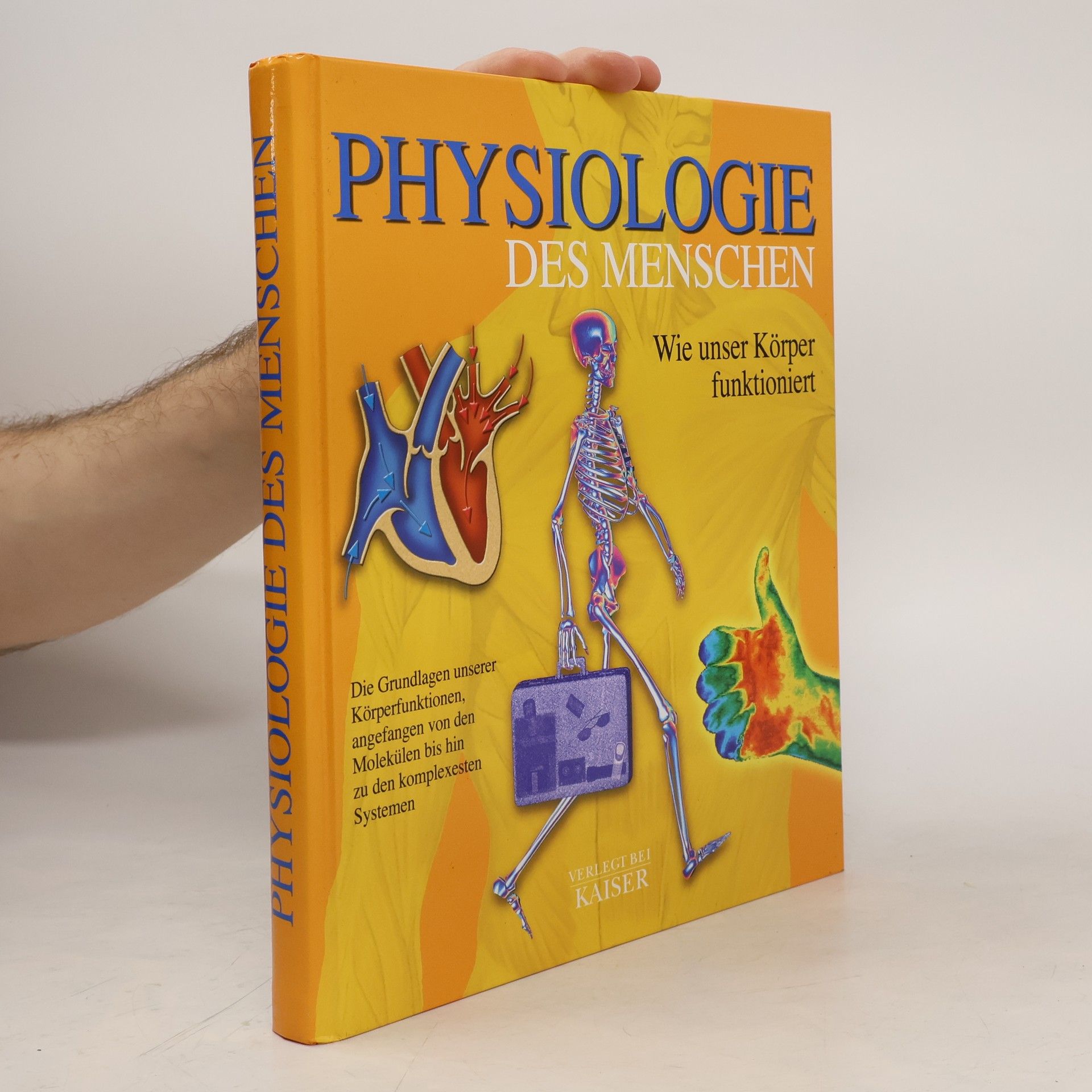 Carmen Schöninger Anatomie