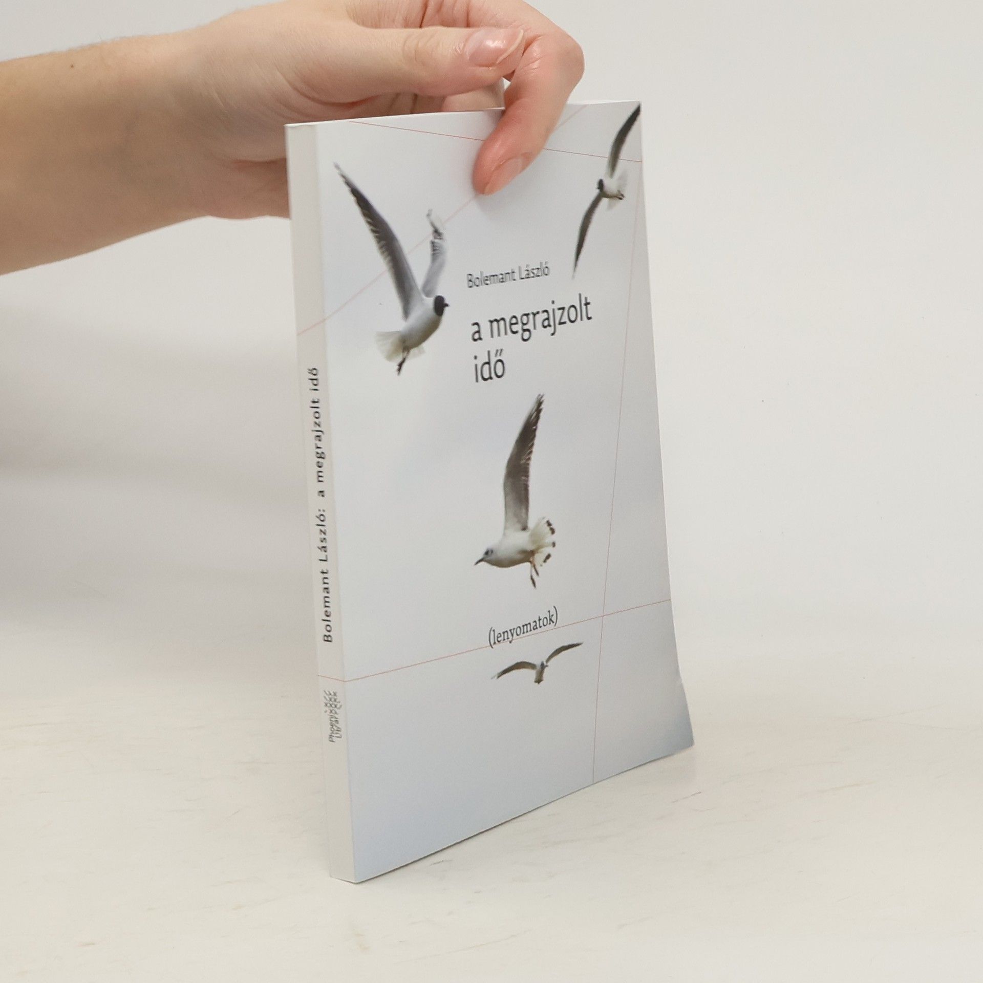 Bolemant László A megrajzolt idő