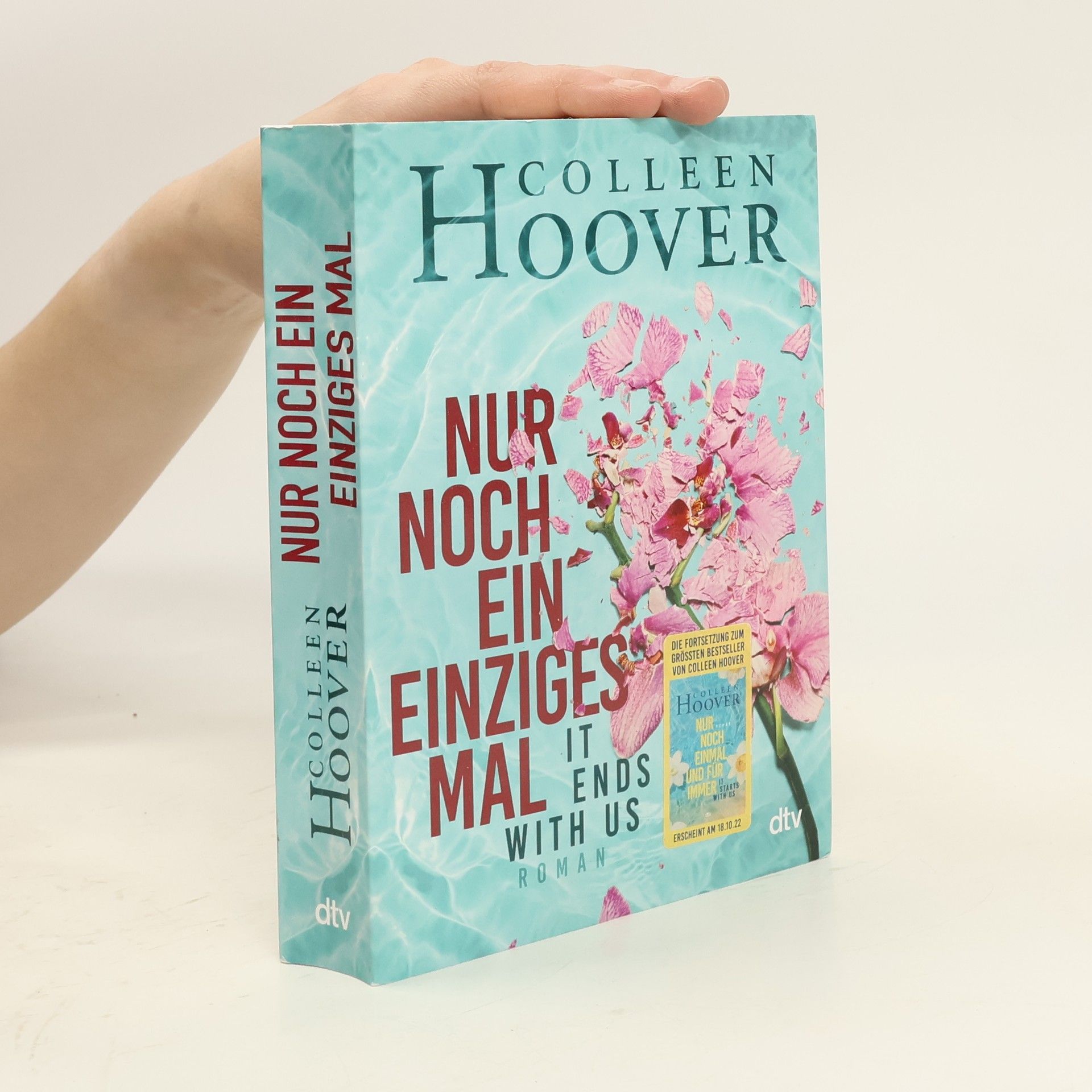 Colleen Hoover Nur noch ein einziges Mal