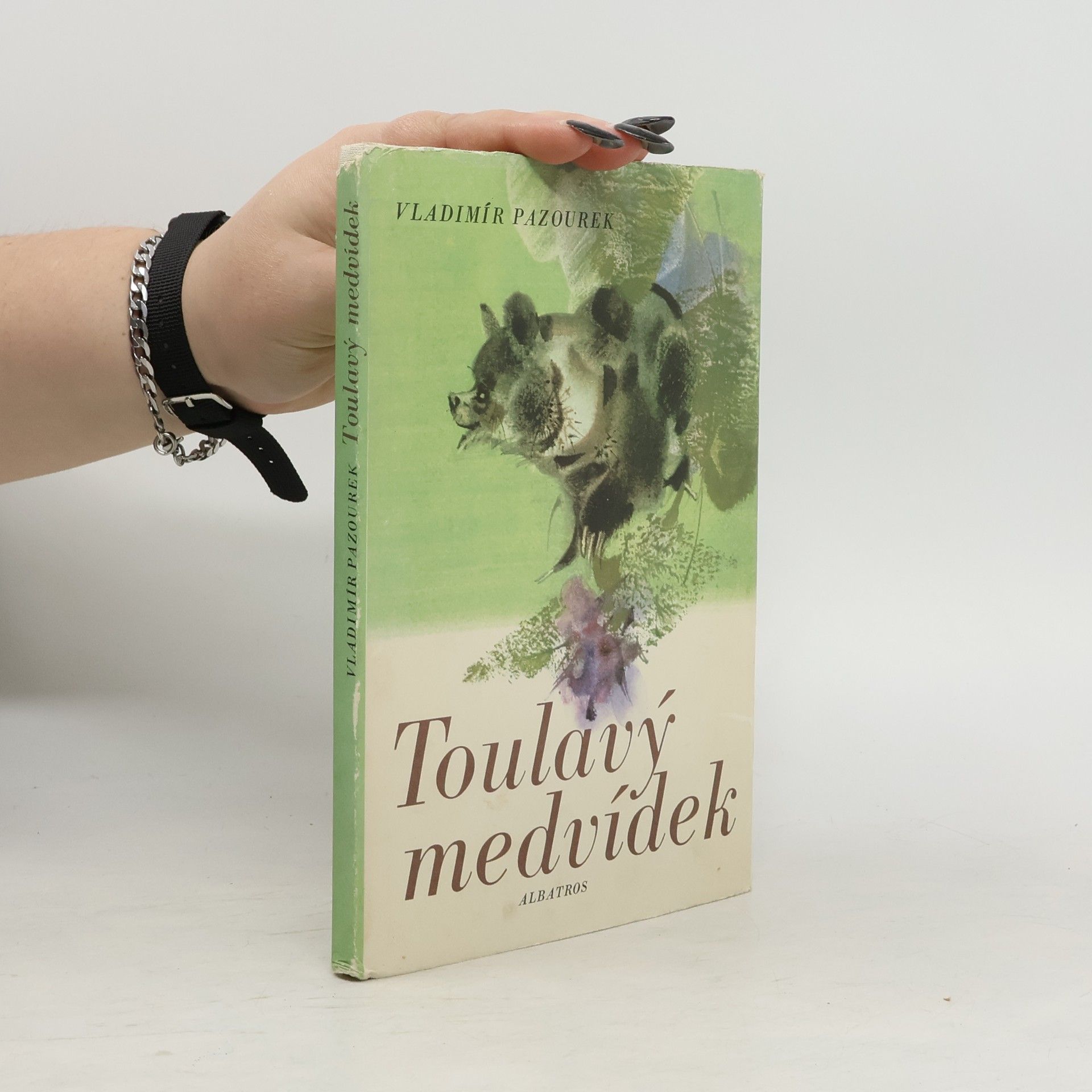 Vladimír Pazourek Toulavý medvídek