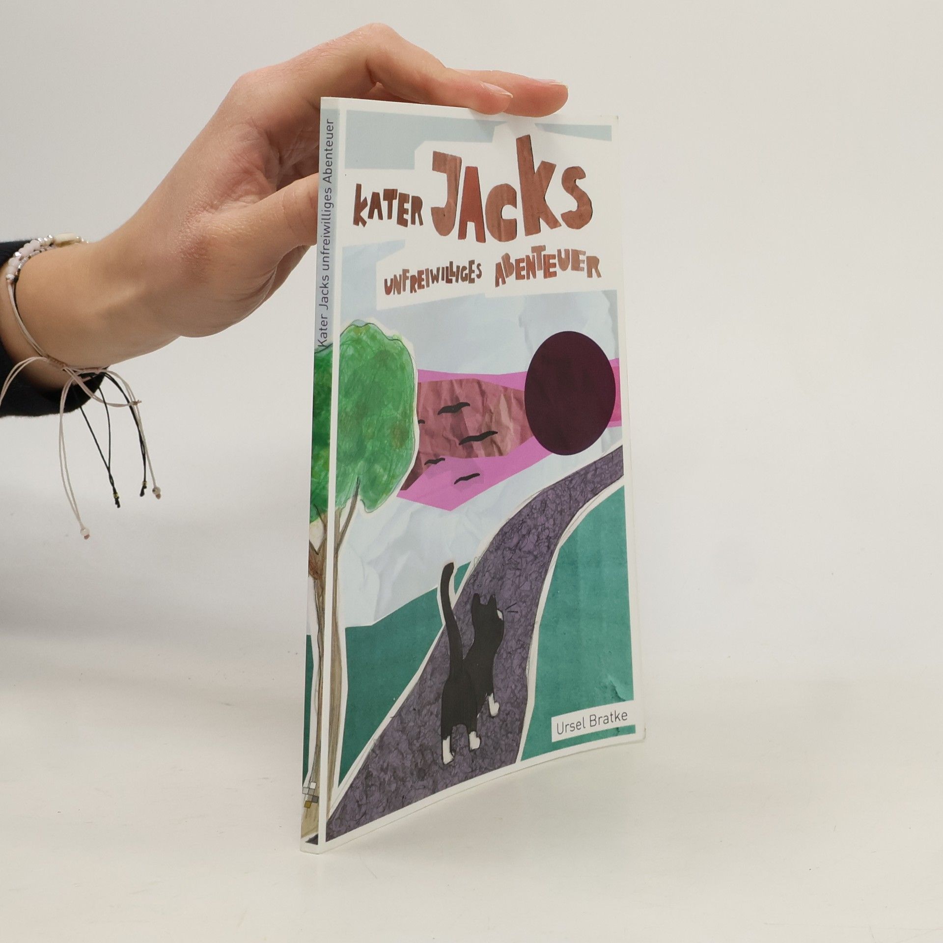Ursel Bratke Kater Jacks unfreiwilliges Abenteuer