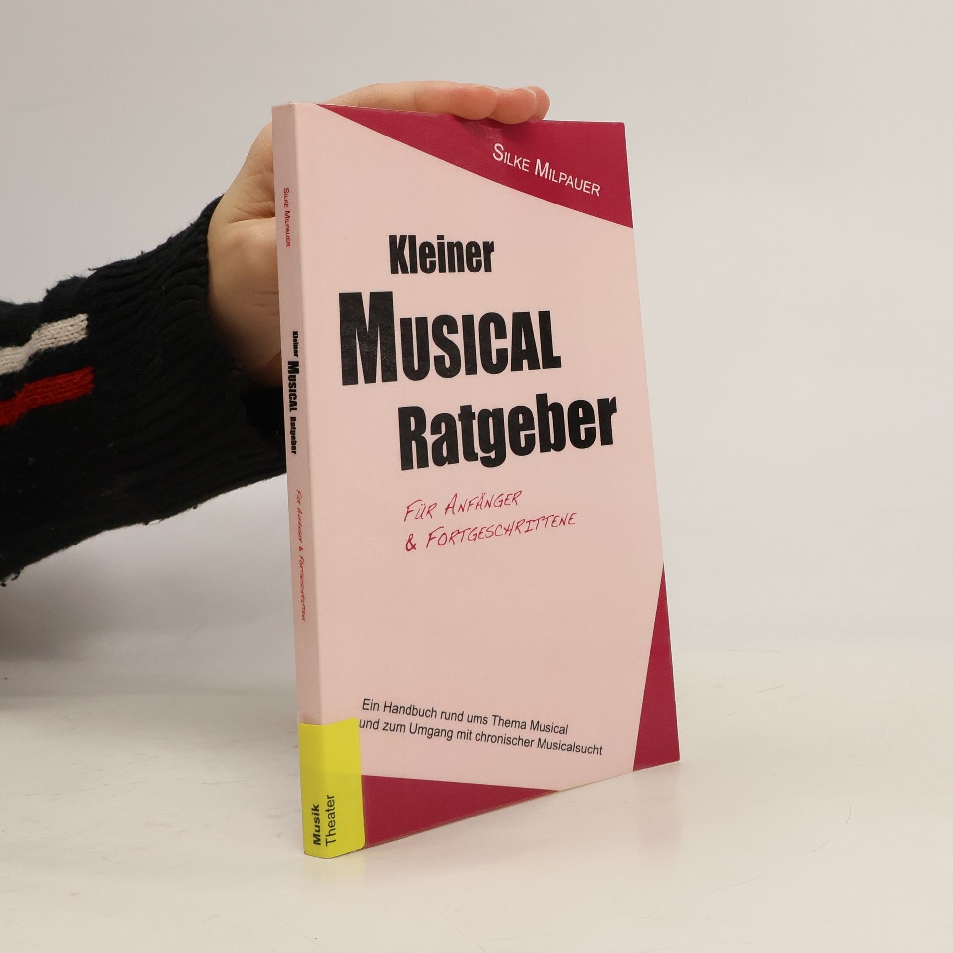 Silke Milpauer Kleiner Musicalratgeber für Anfänger und Fortgeschrittene