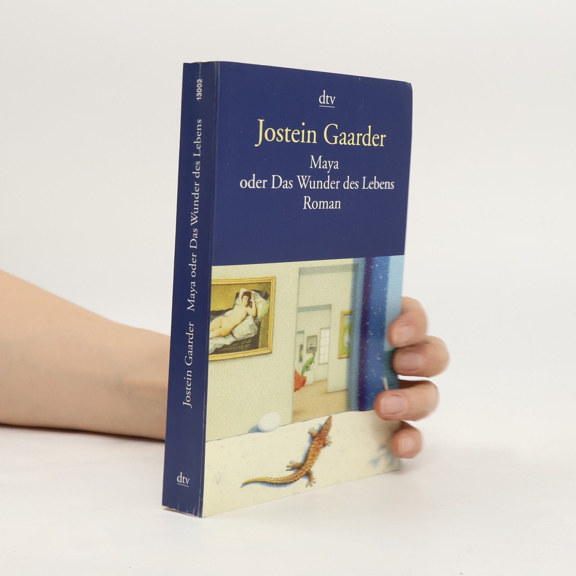 Jostein Gaarder Maya oder Das Wunder des Lebens