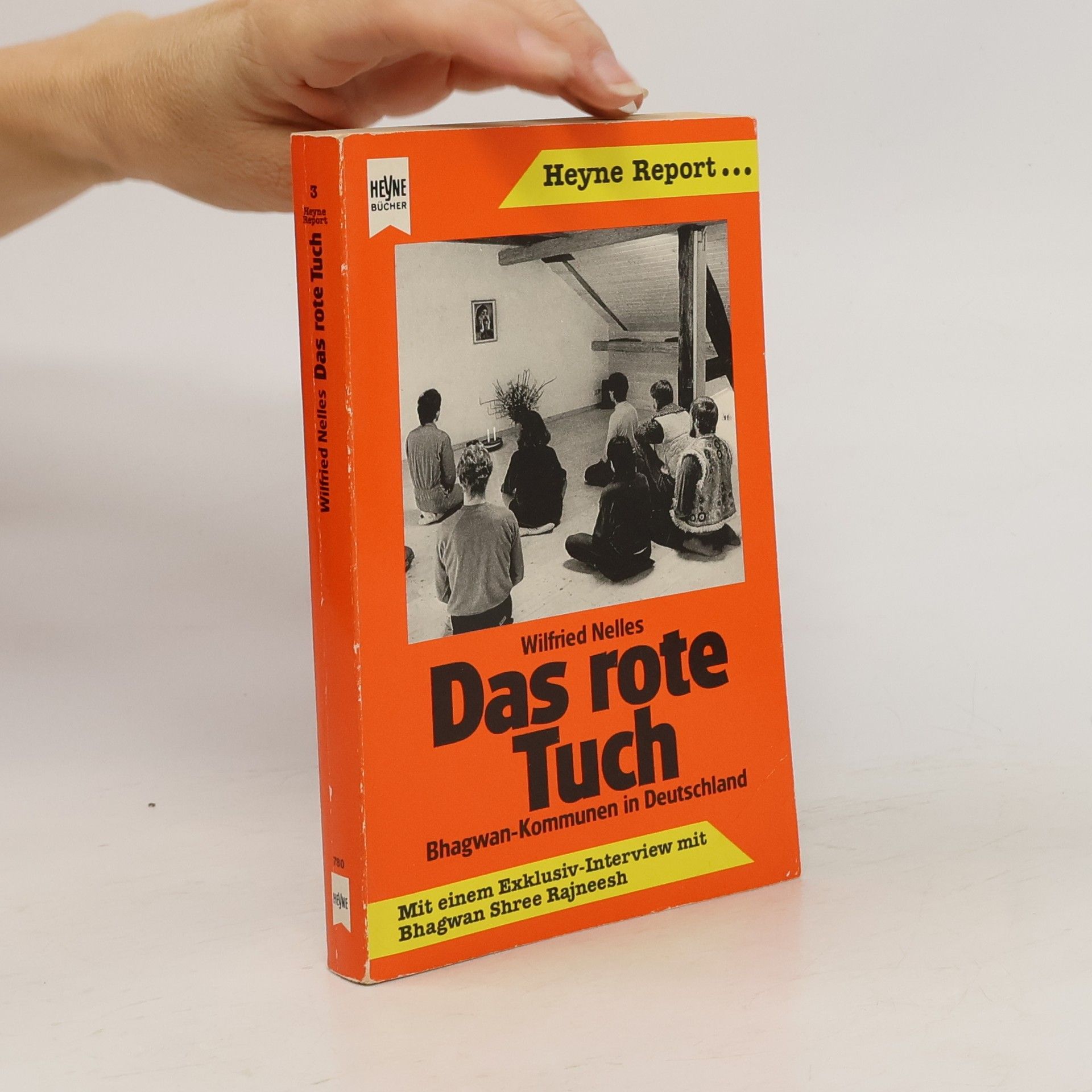 Wilfried Nelles Das rote Tuch