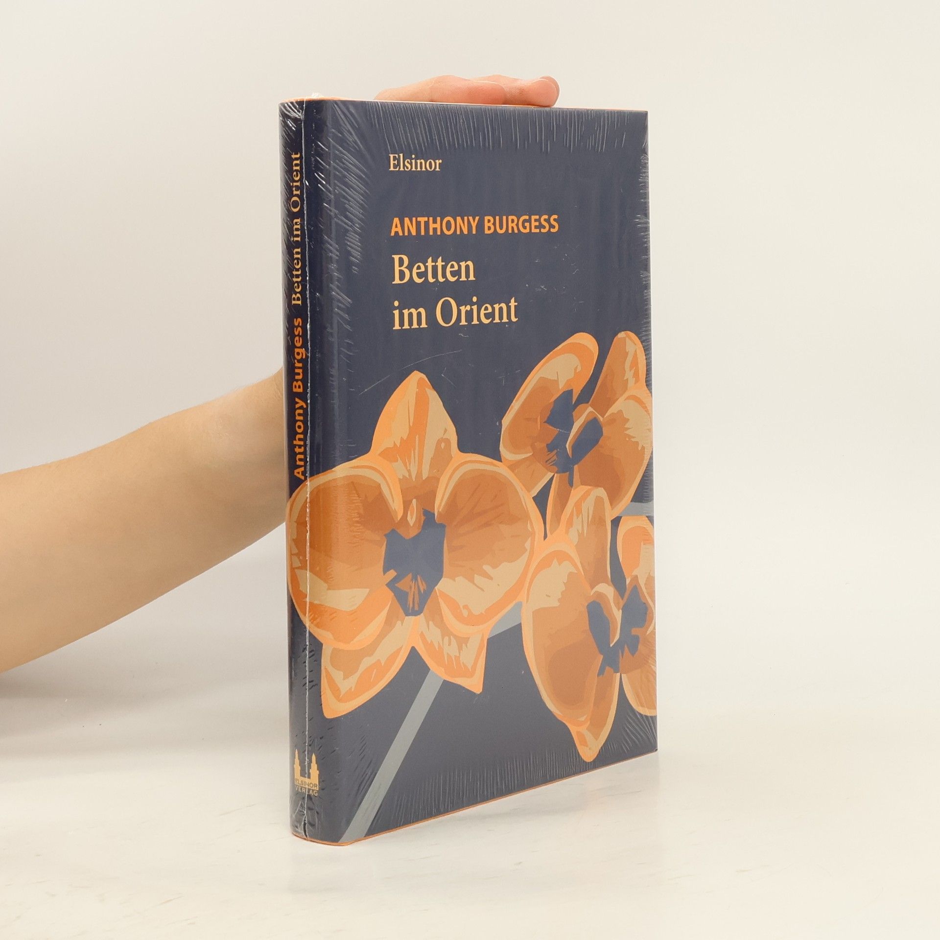 Anthony Burgess Die Betten im Orient