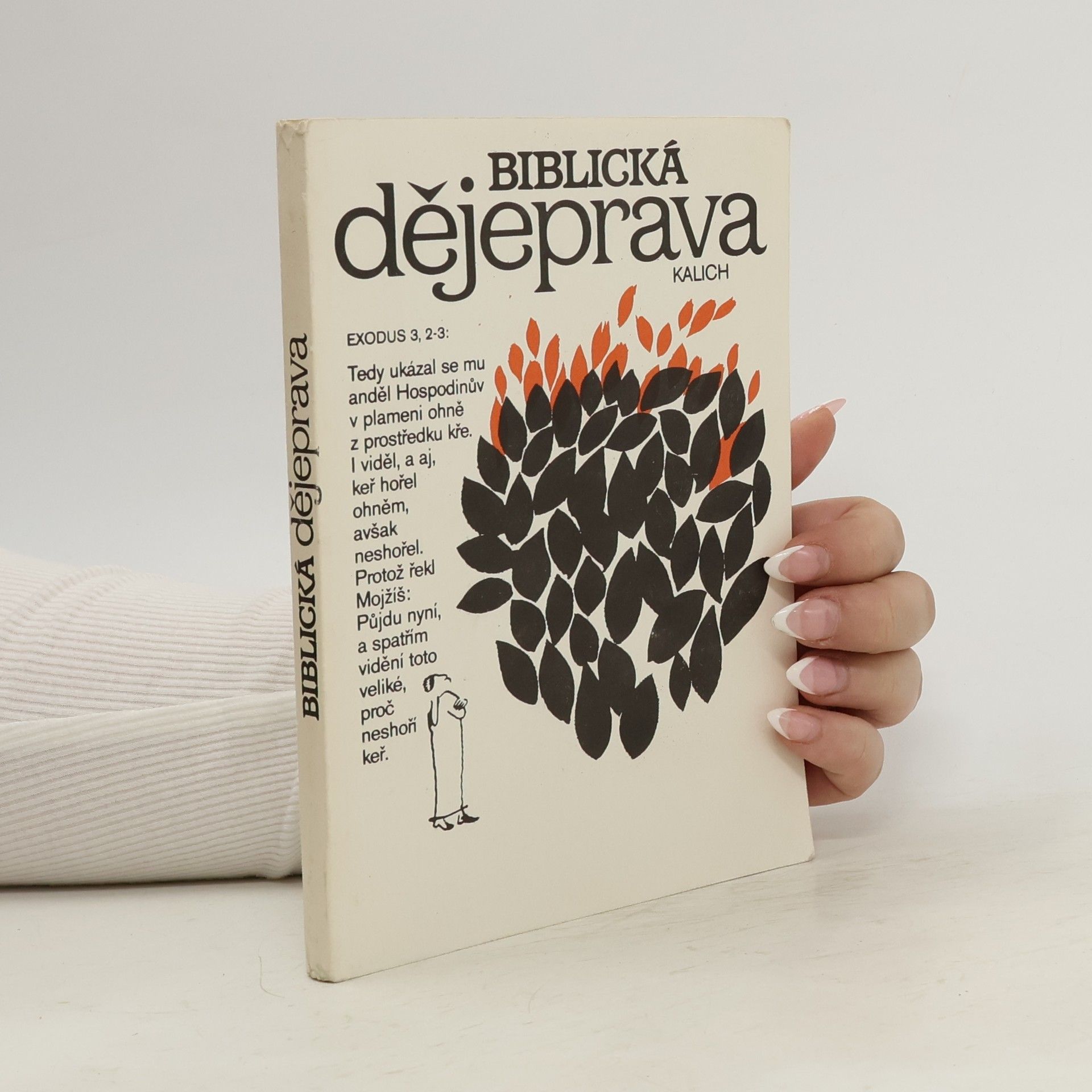 Viktor Hájek Biblická dějeprava