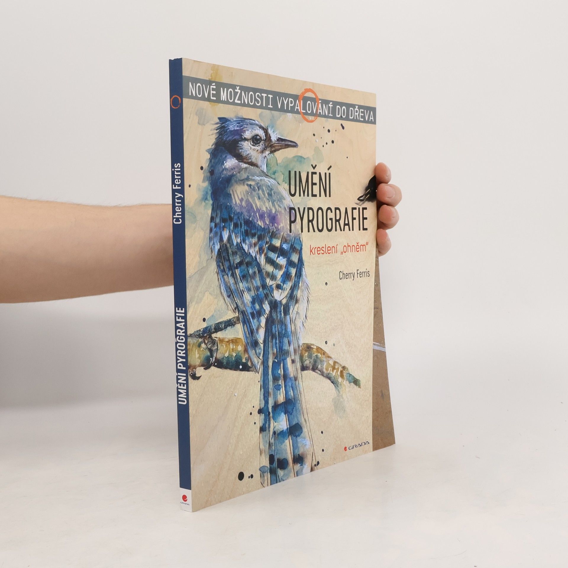 Jana Petrásková Umění pyrografie - kreslení "ohněm"