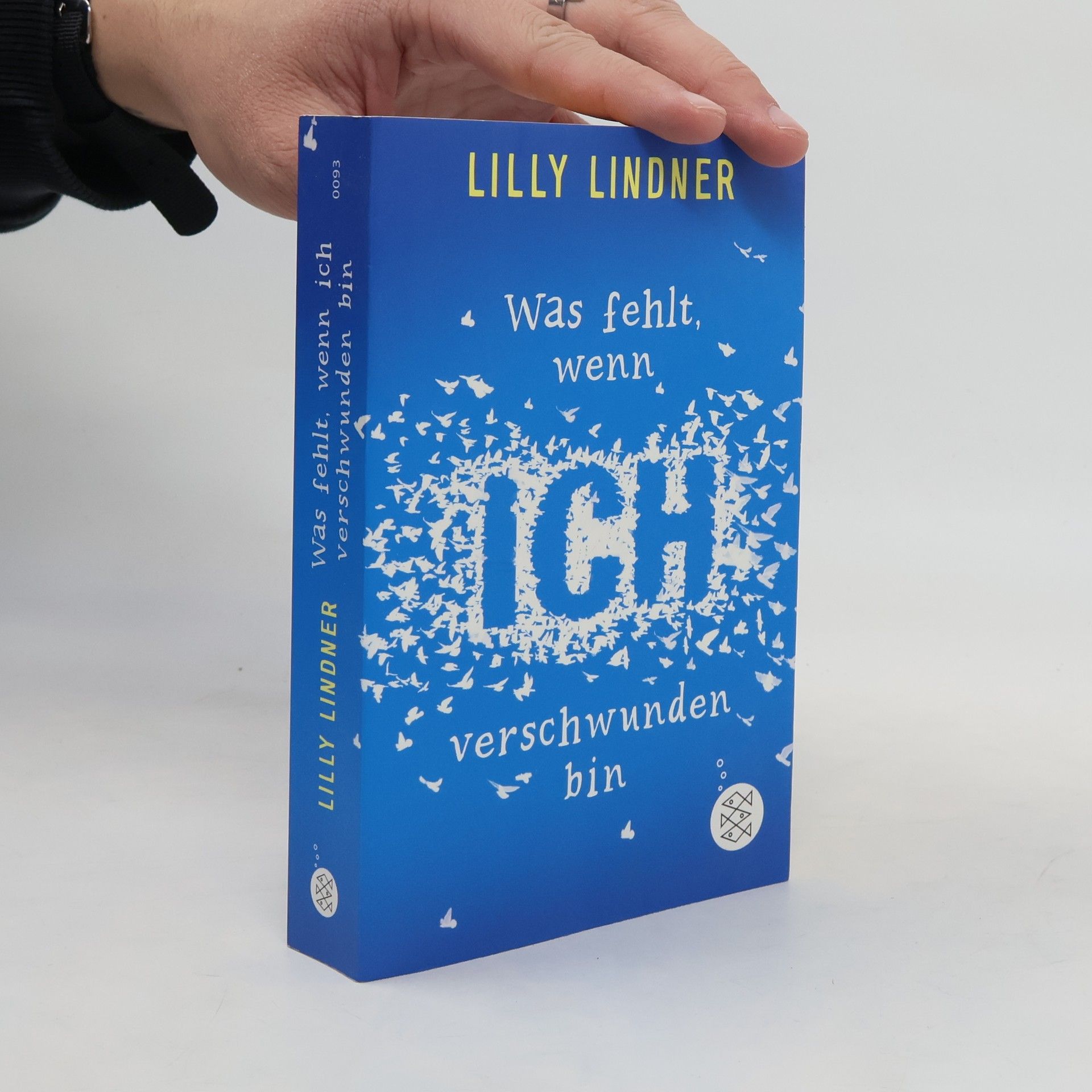 Lilly Lindner Was fehlt, wenn ich verschwunden bin