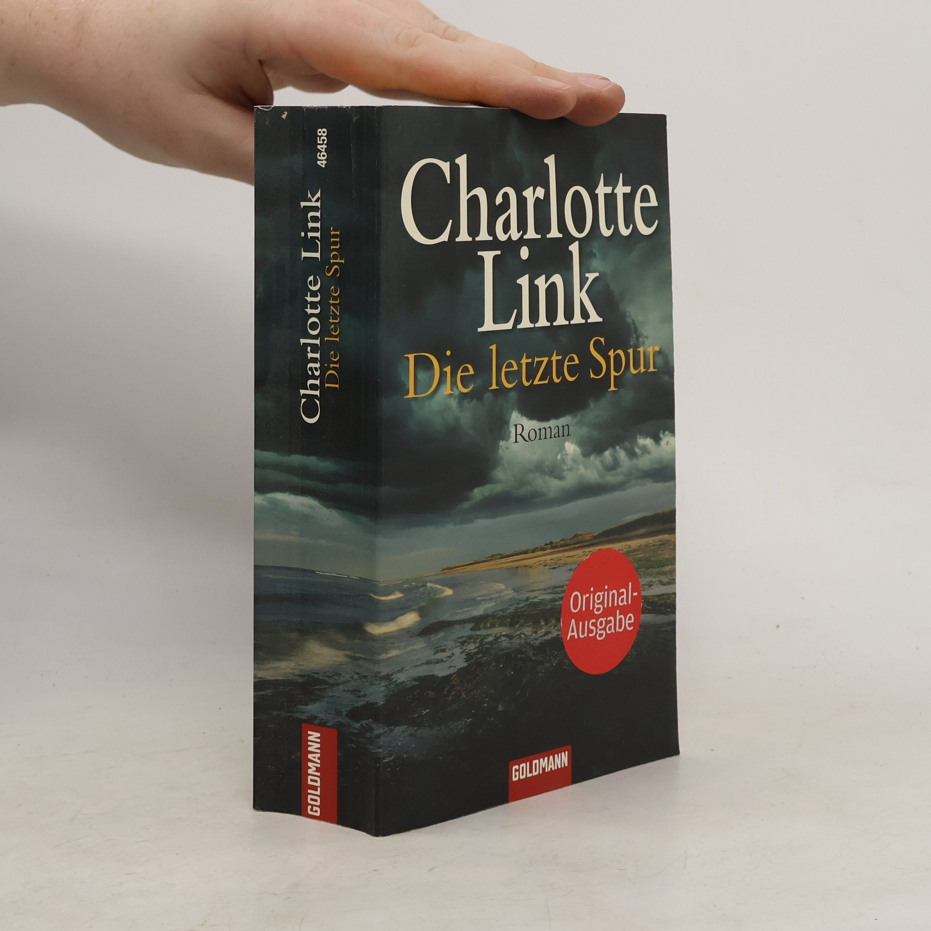 Charlotte Link Die letzte Spur