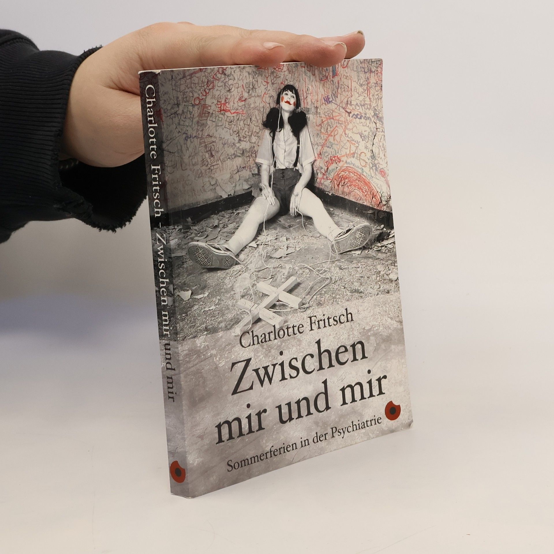 Charlotte Fritsch Zwischen mir und mir - Sommerferien in der Psychiatrie (Edition Blickpunkt)