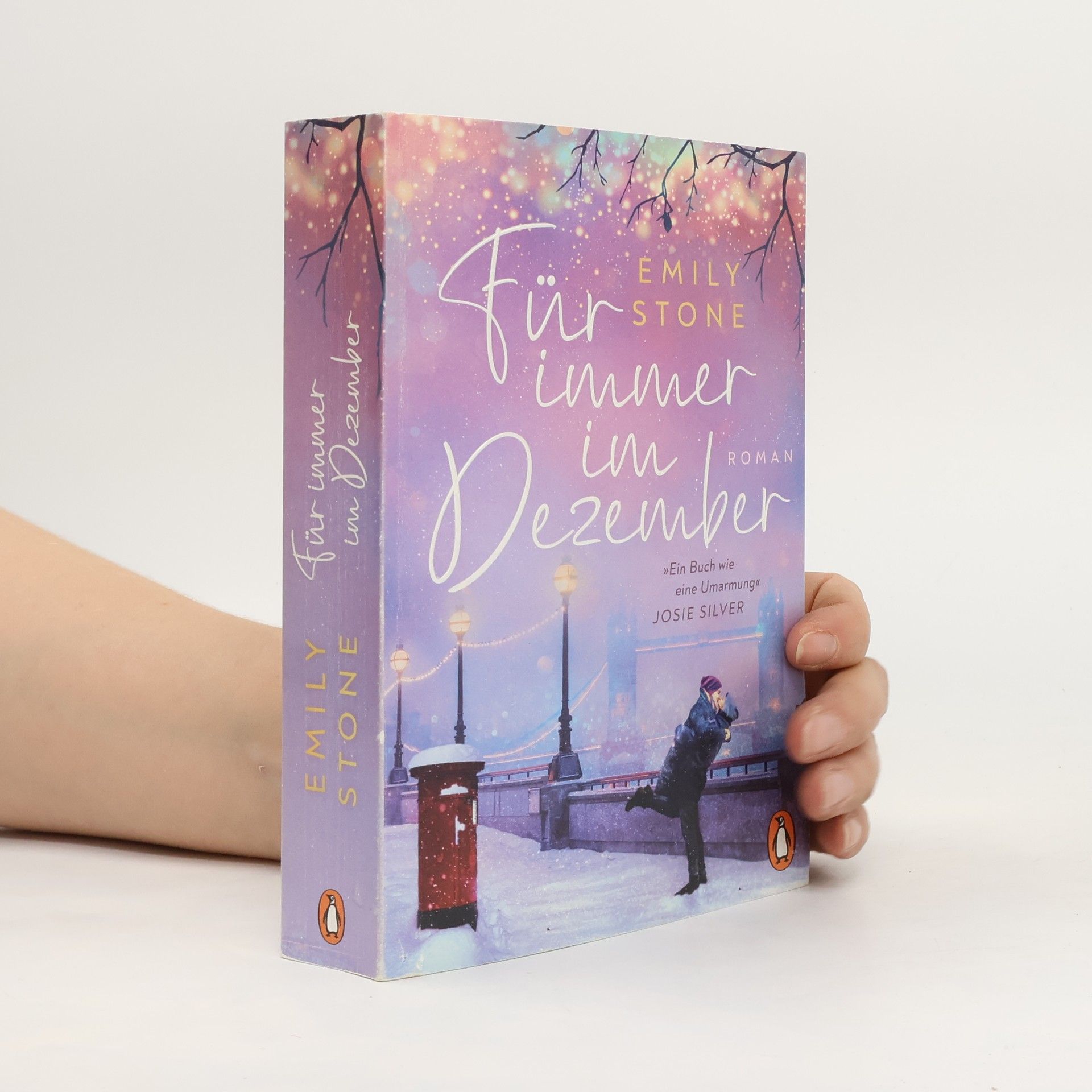 Stone Emily Für immer im Dezember