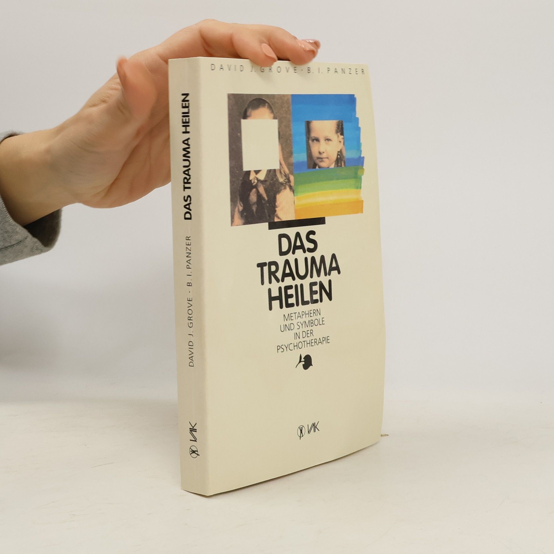 David J. Grove Das Trauma heilen