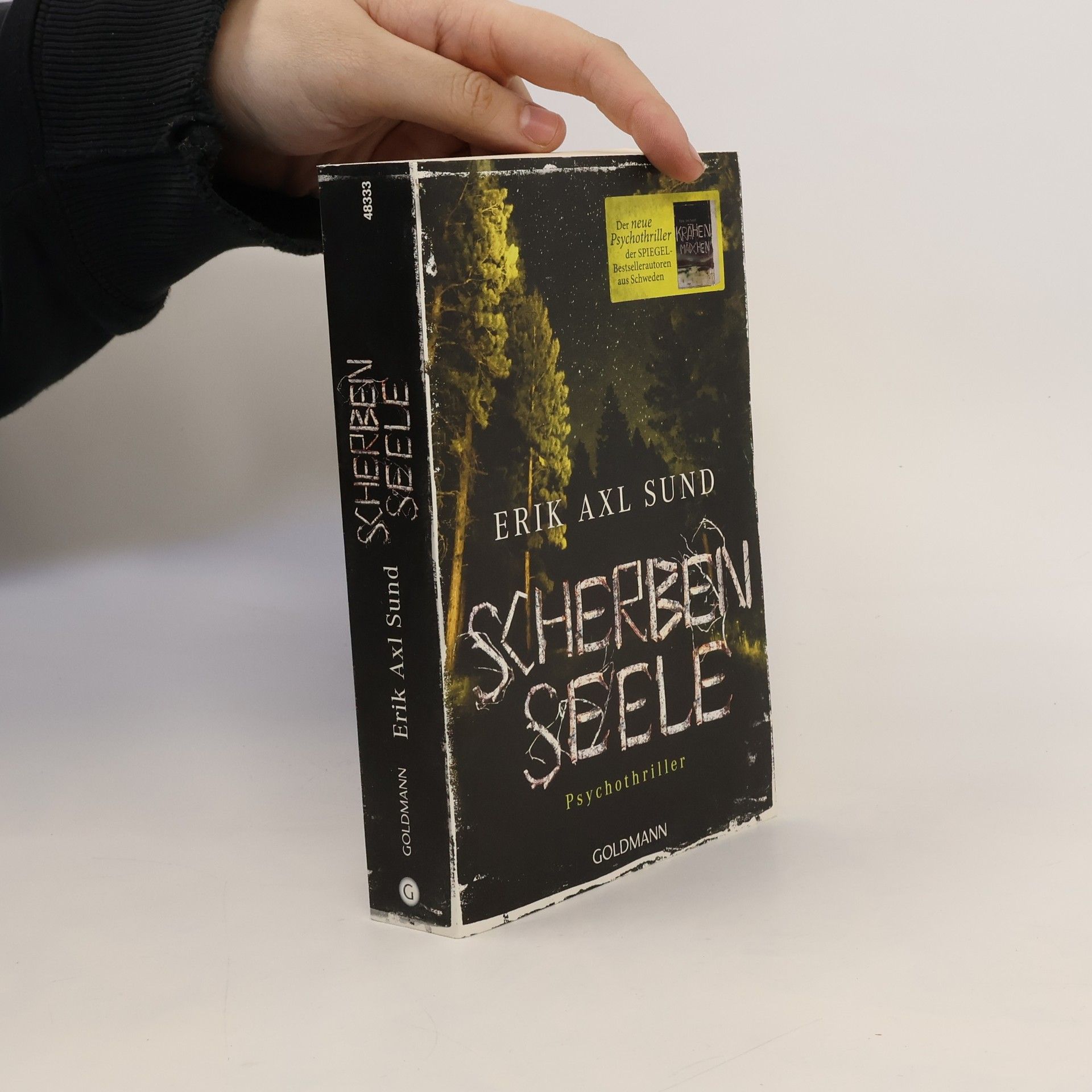 Erik Axl Sund Scherbenseele