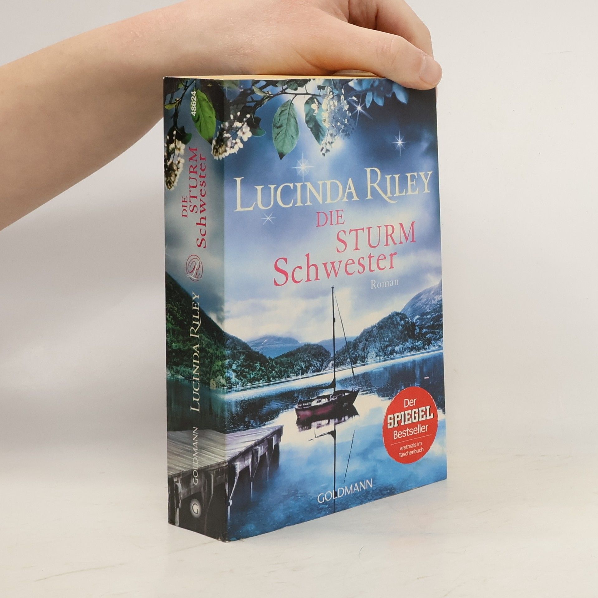 Lucinda Riley Die Sturmschwester