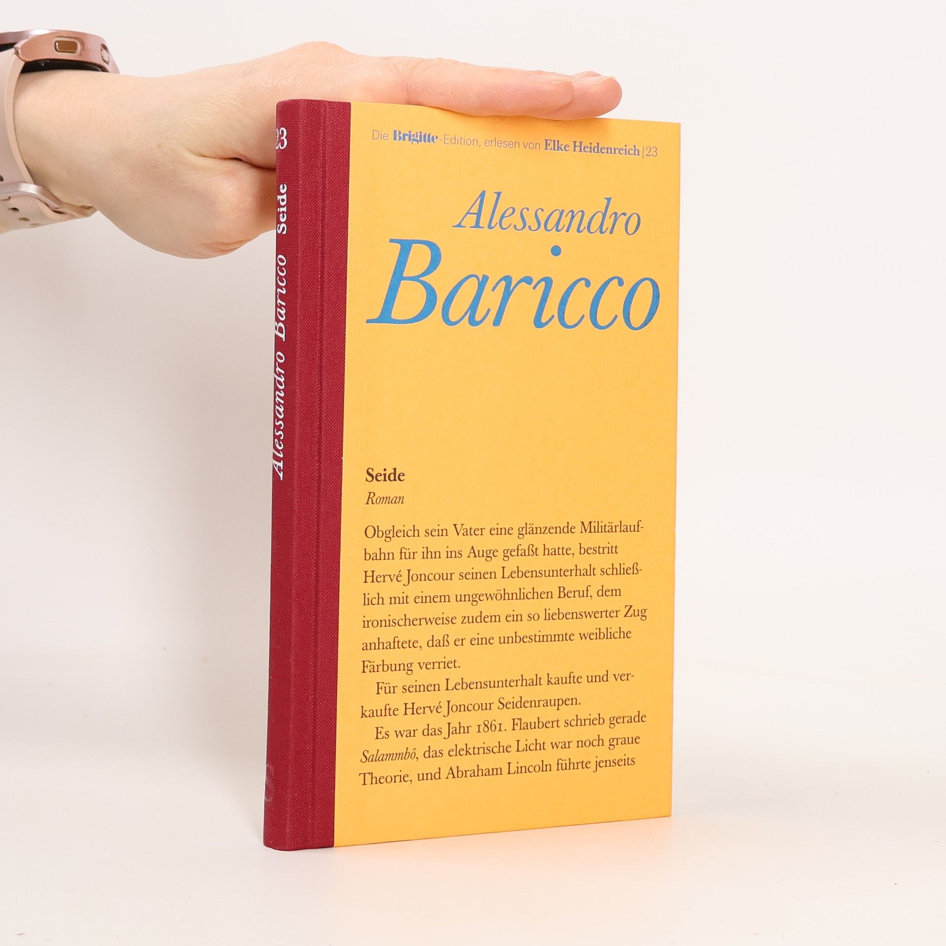 Alessandro Baricco Seide