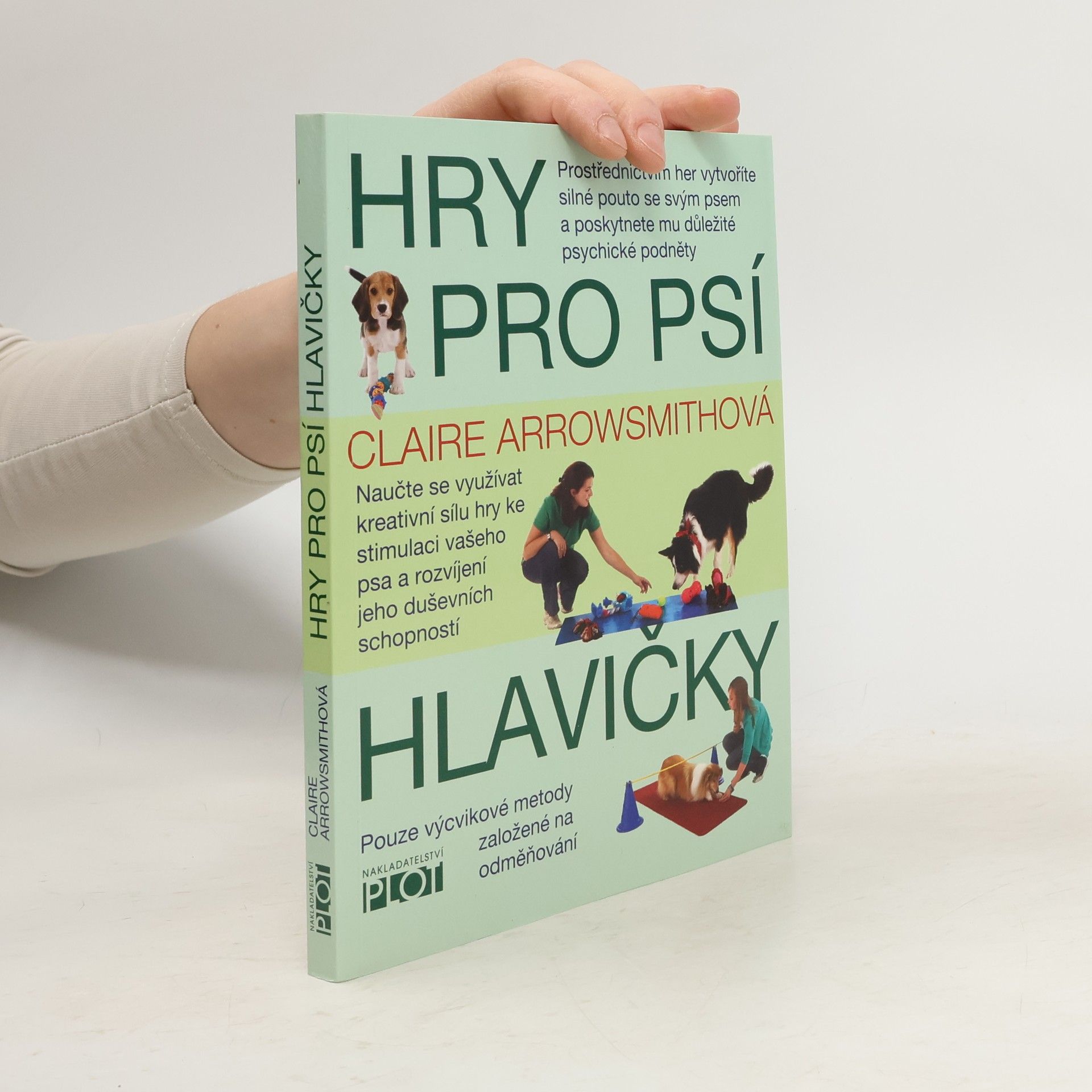 Hry pro psí hlavičky