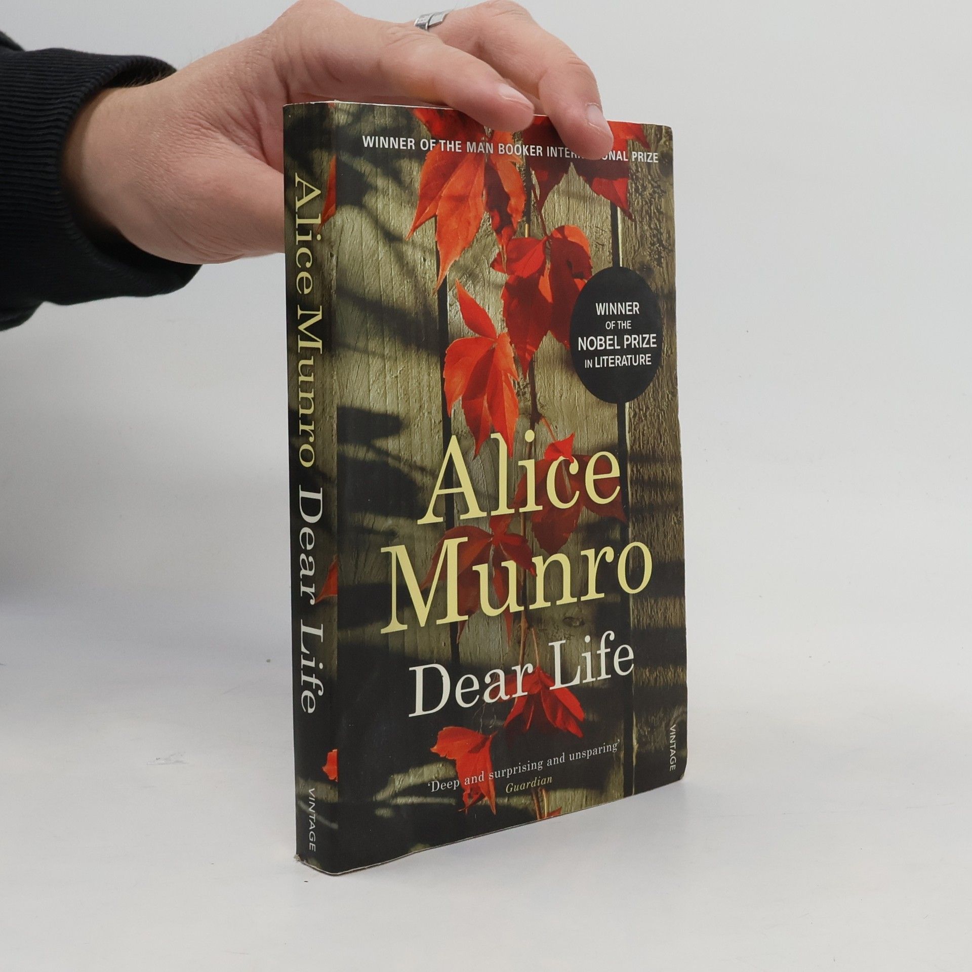 Alice Munro Dear Life. Liebes Leben, englische Ausgabe
