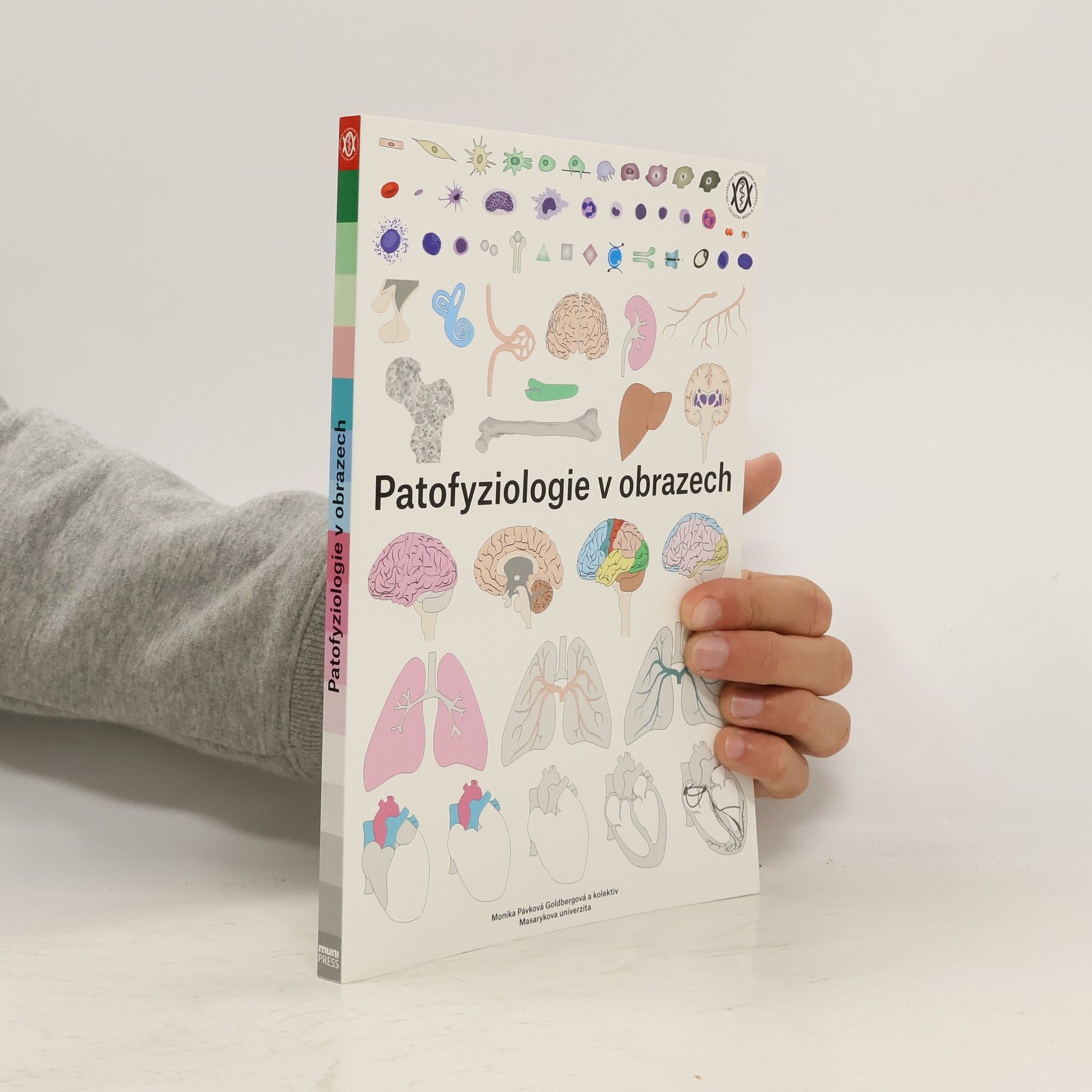 Patofyziologie v obrazech