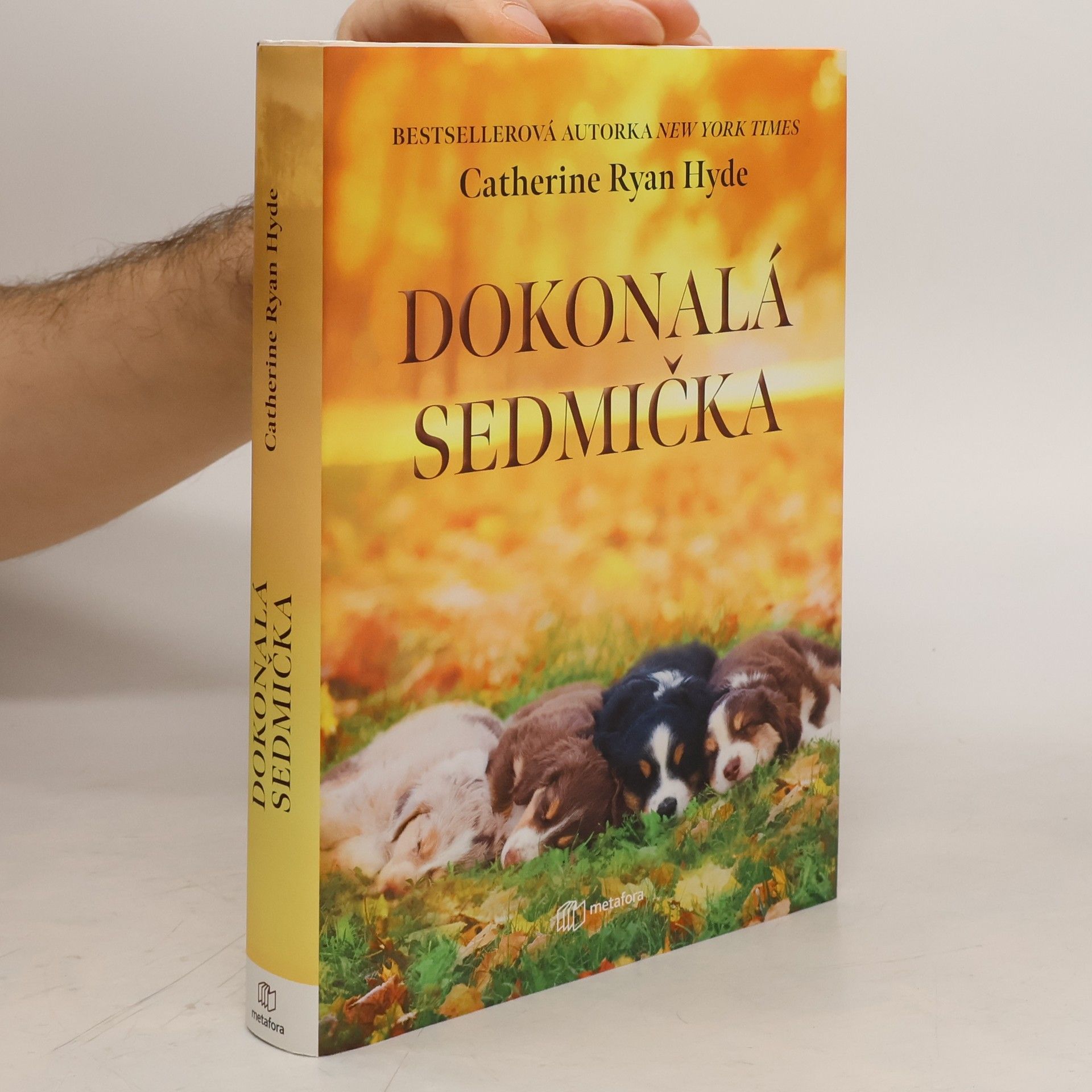 Catherine Ryan Hyde Dokonalá sedmička