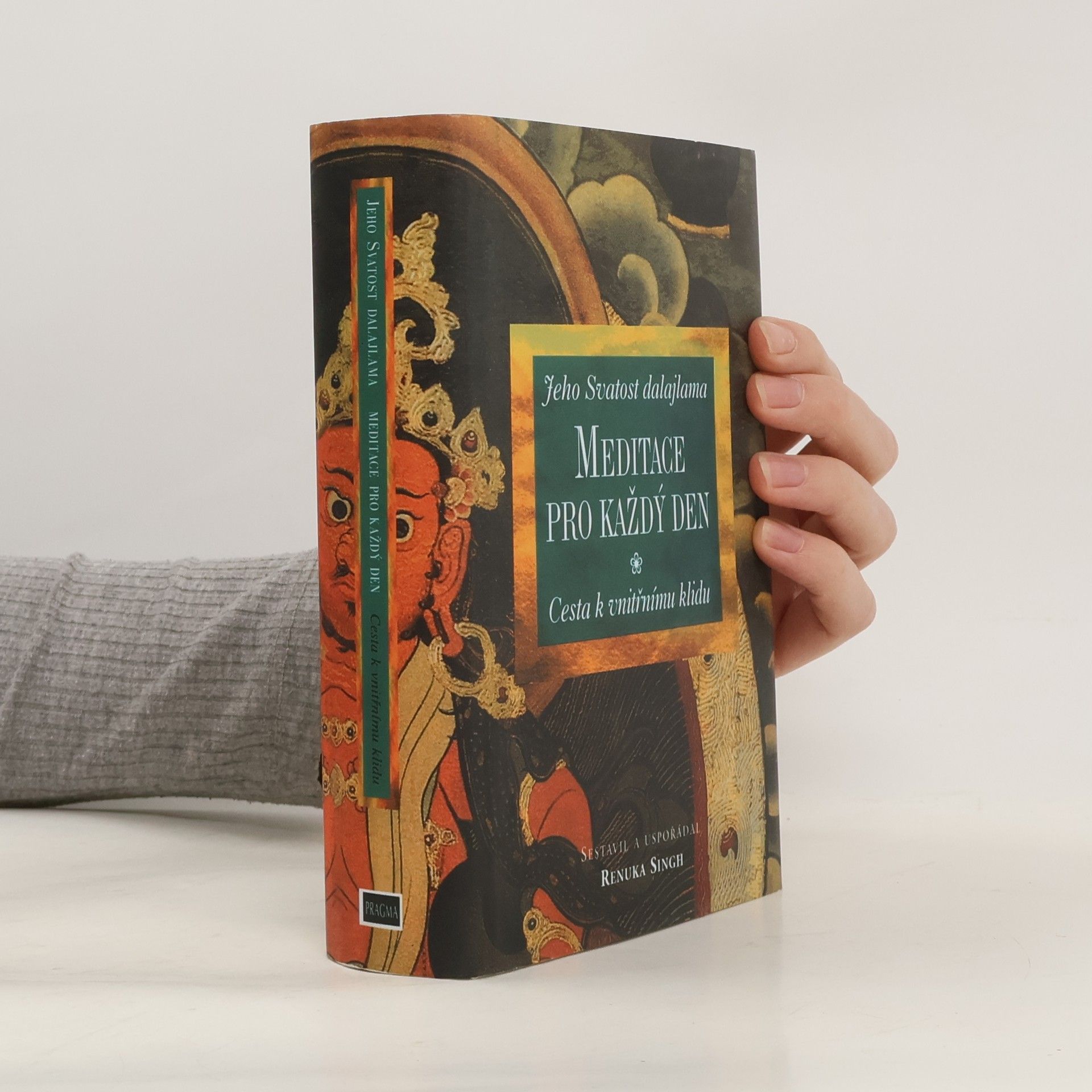 Renuka Singh Meditace pro každý den. cesta k vnitřnímu klidu