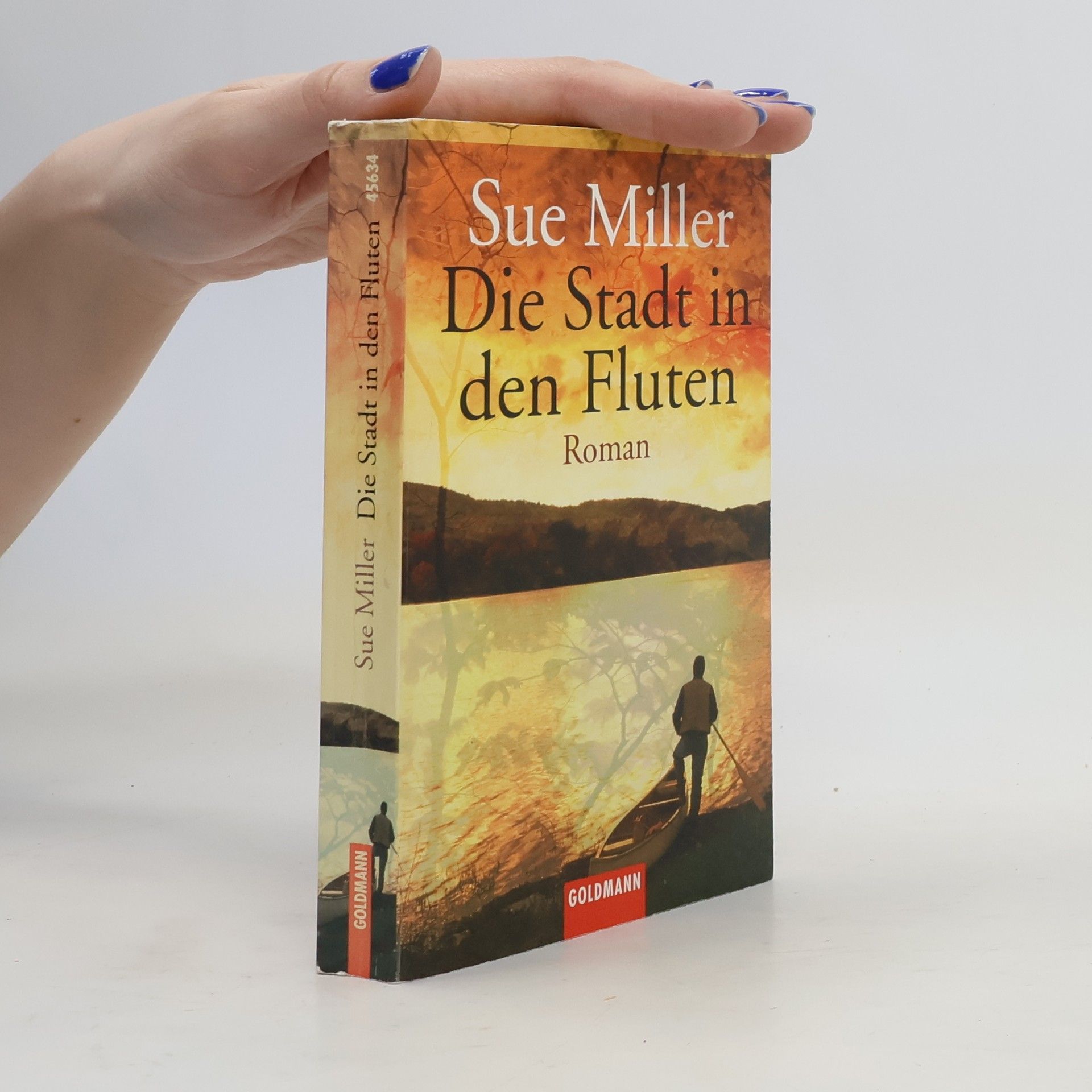 Die Stadt in den Fluten