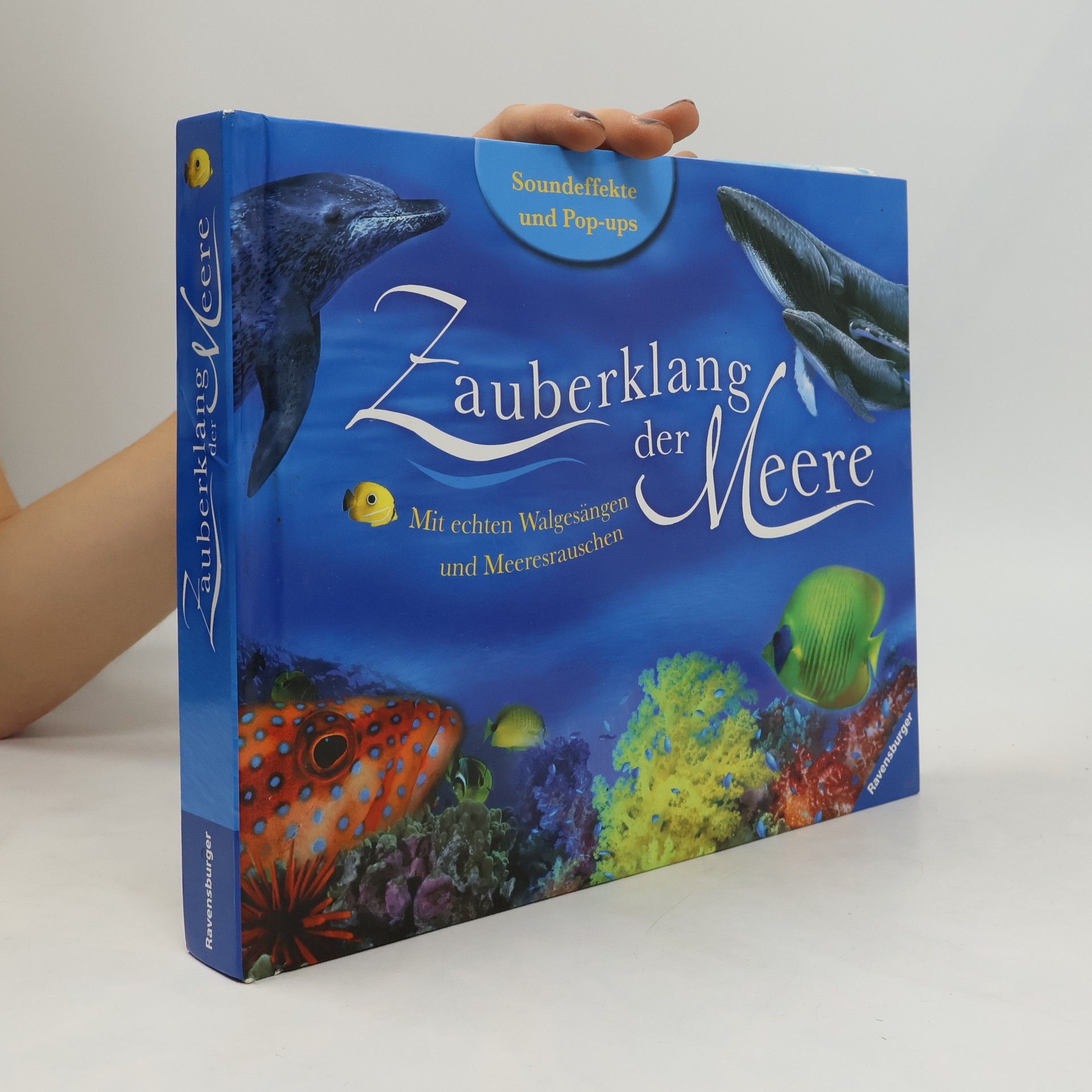 Maurice Pledger Zauberklang der Meere