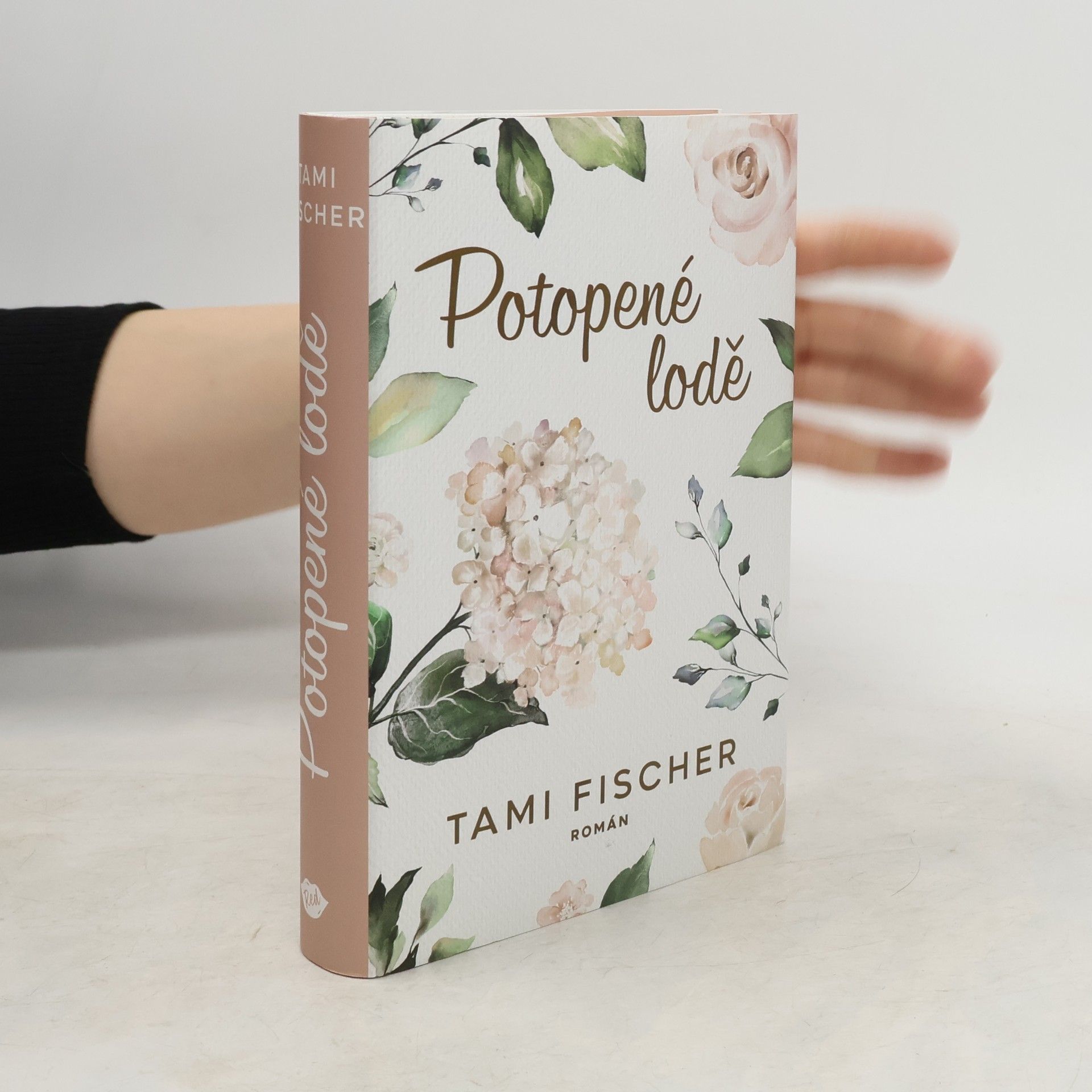 Tami Fischer Potopené lodě