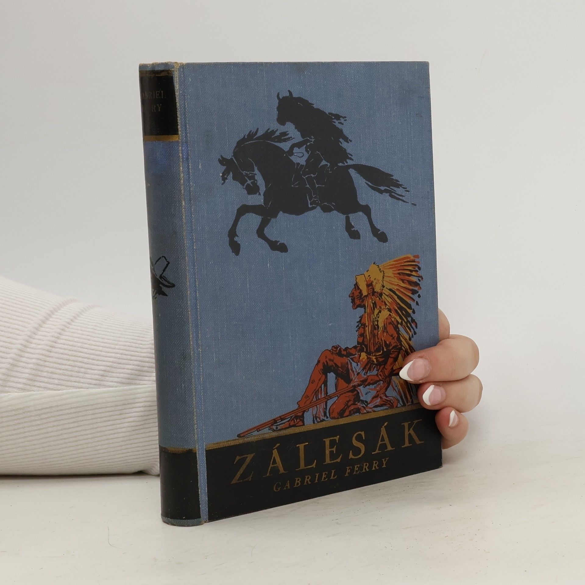 Gabriel Ferry Zálesák