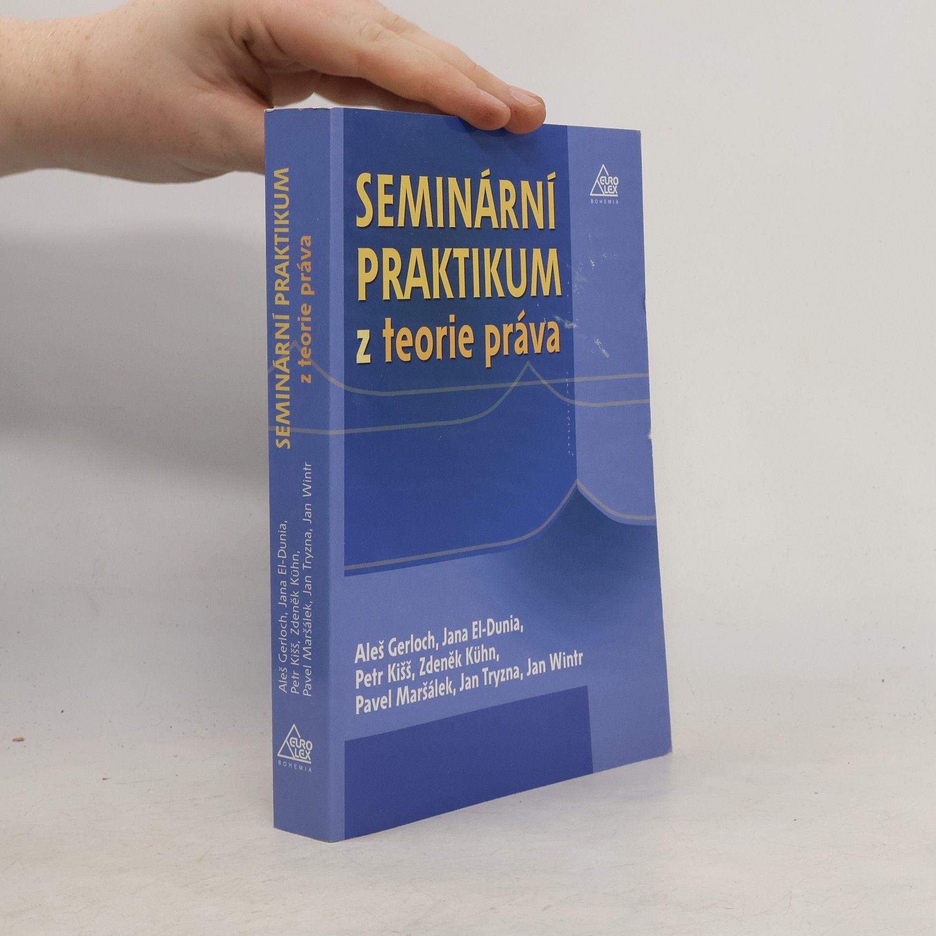 Autorenkollektiv Seminární praktikum z teorie práva