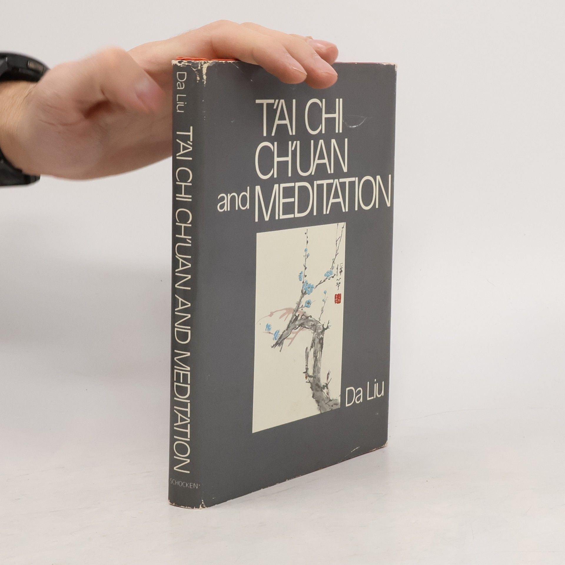 Liu. Da T'ai Chi Ch'uan and Meditation