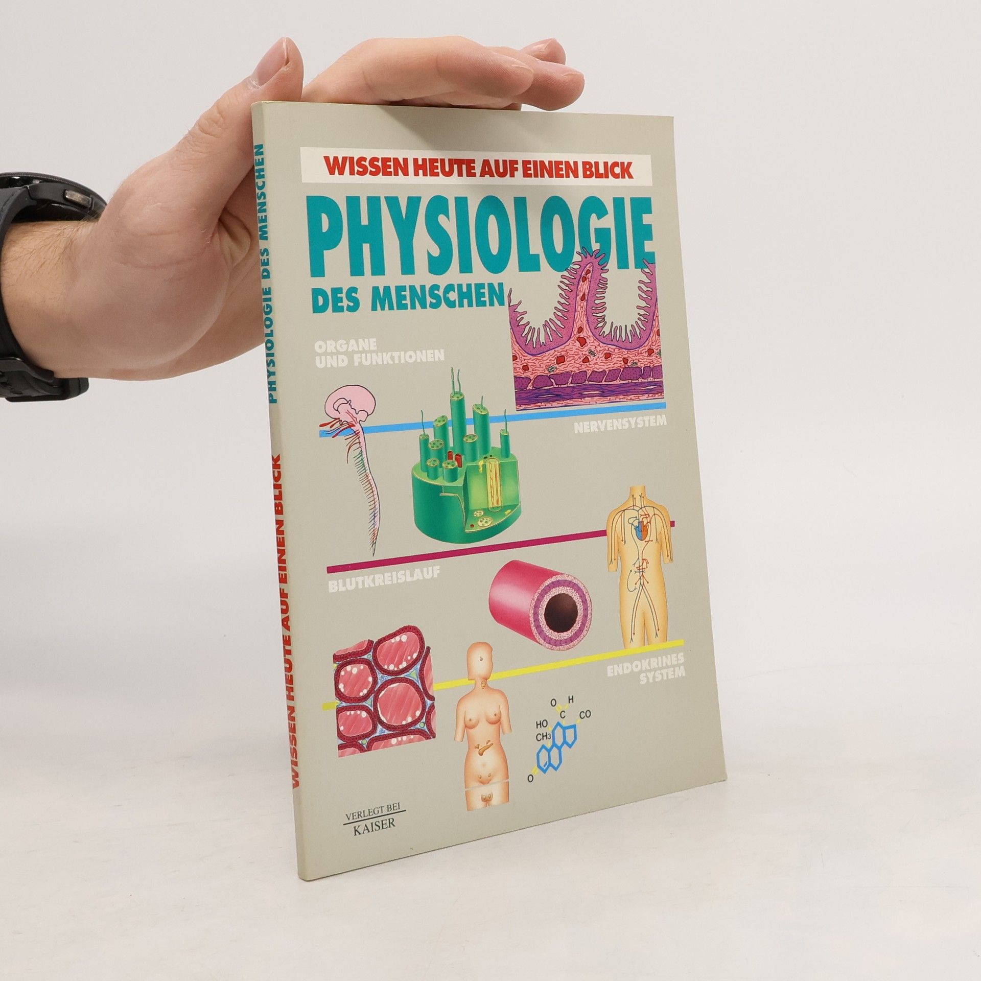 Collectif d'auteurs Physiologie des Menschen