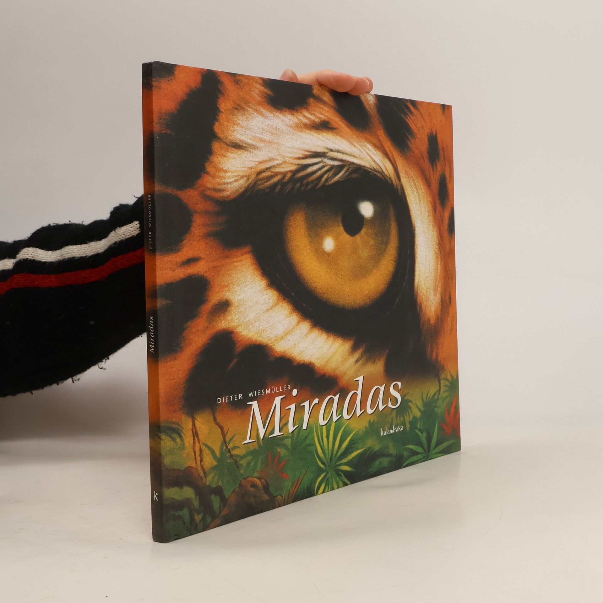 Dieter Wiesmüller Miradas