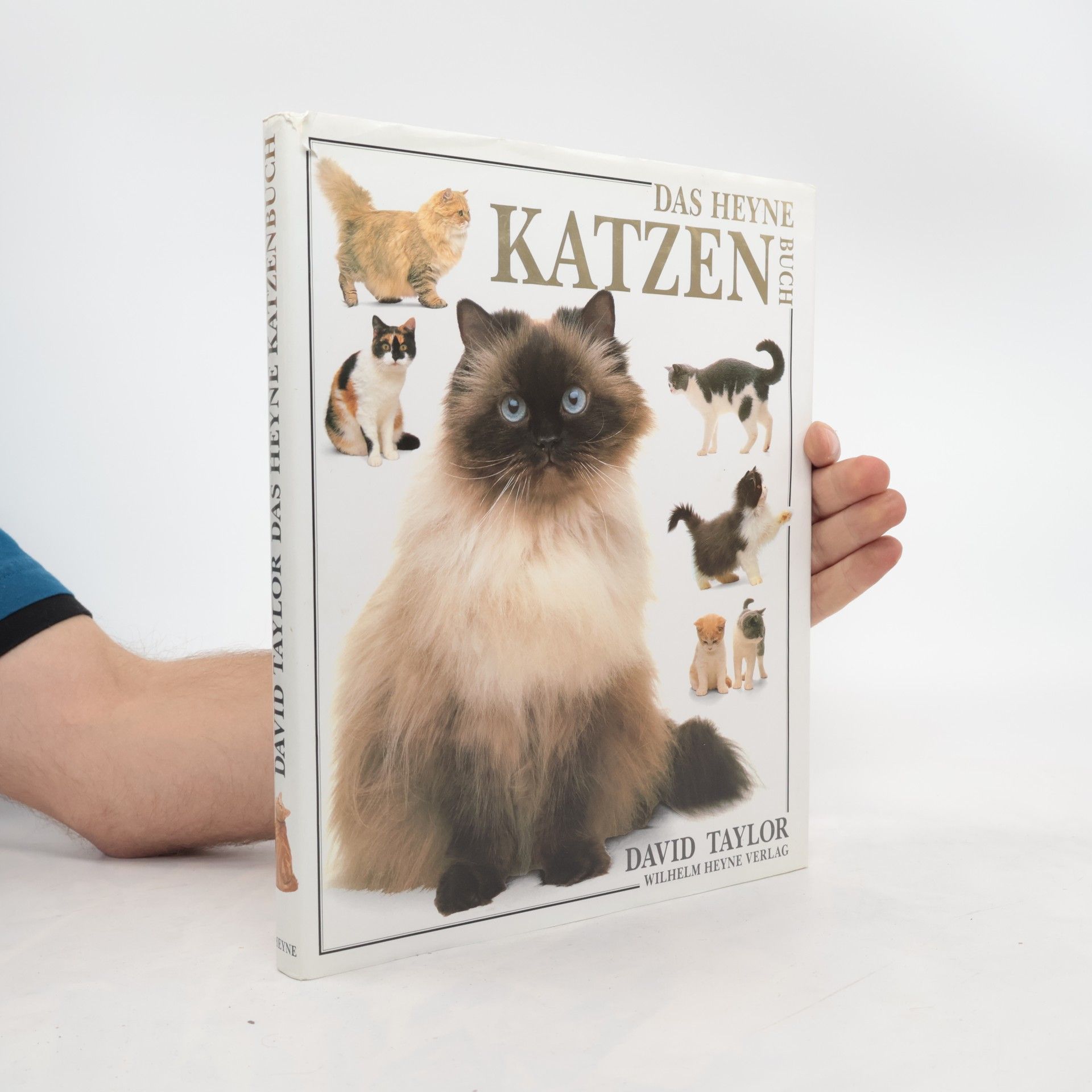 David Taylor Das Heyne-Katzen-Buch