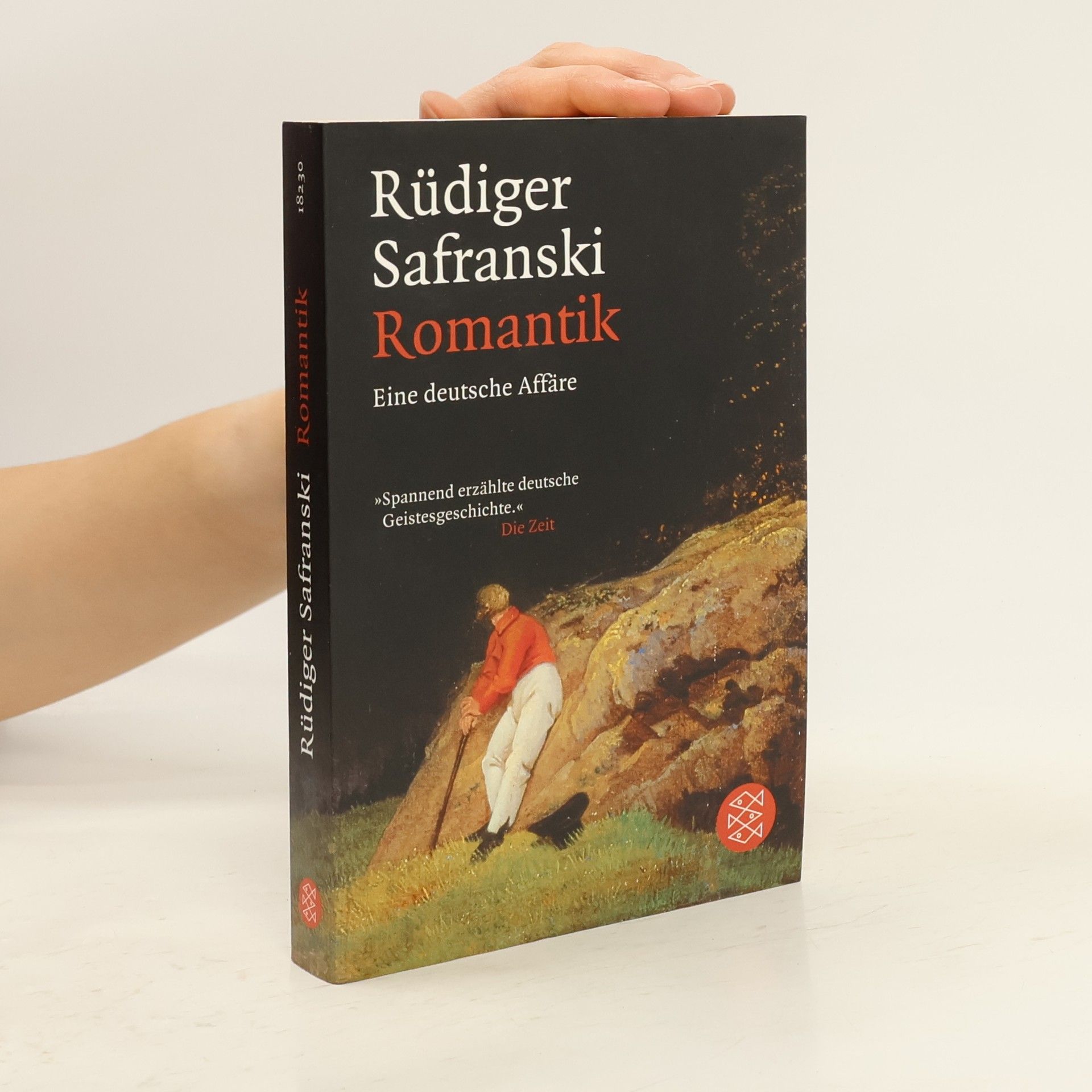 Rüdiger Safranski Romantik