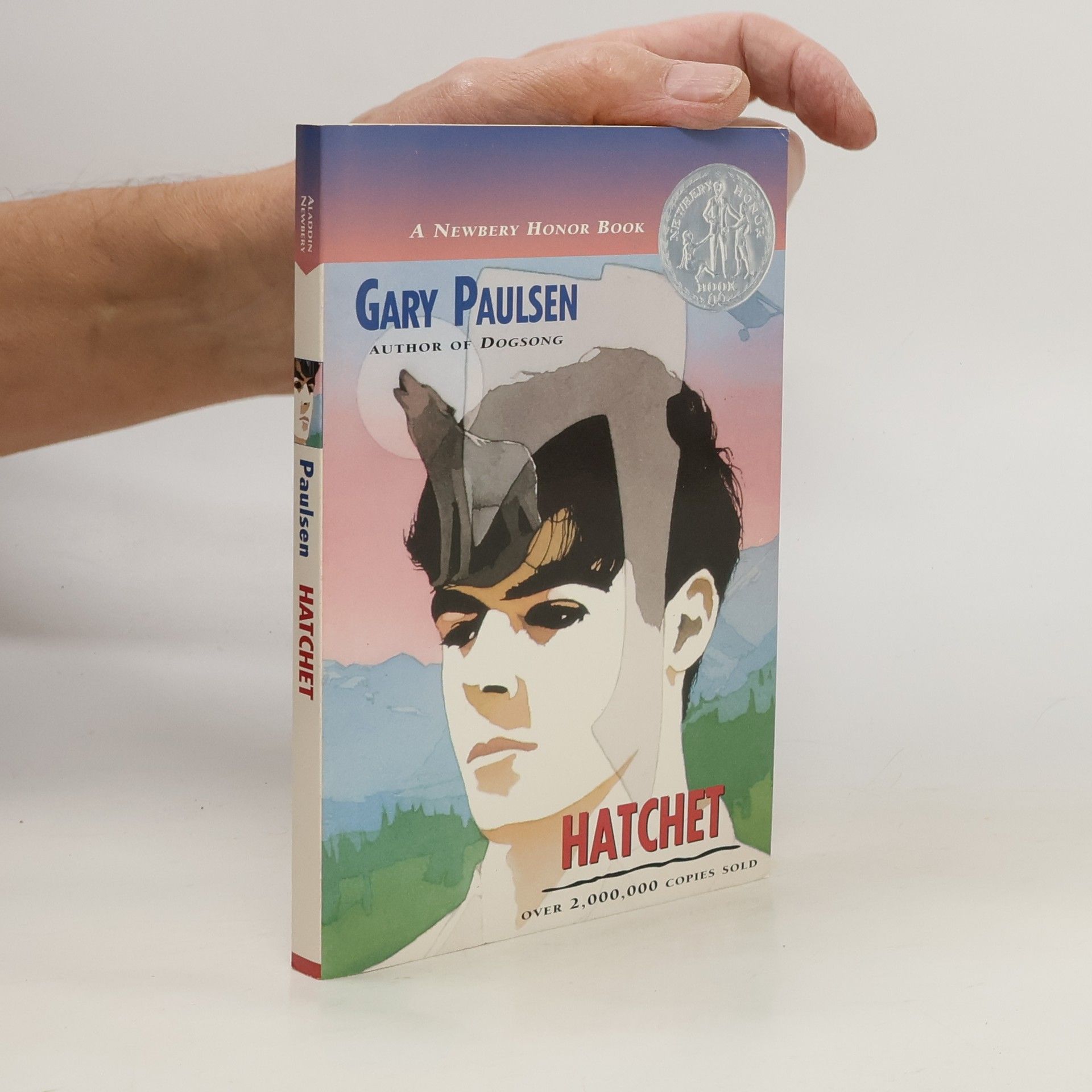 Gary Paulsen Hatchet