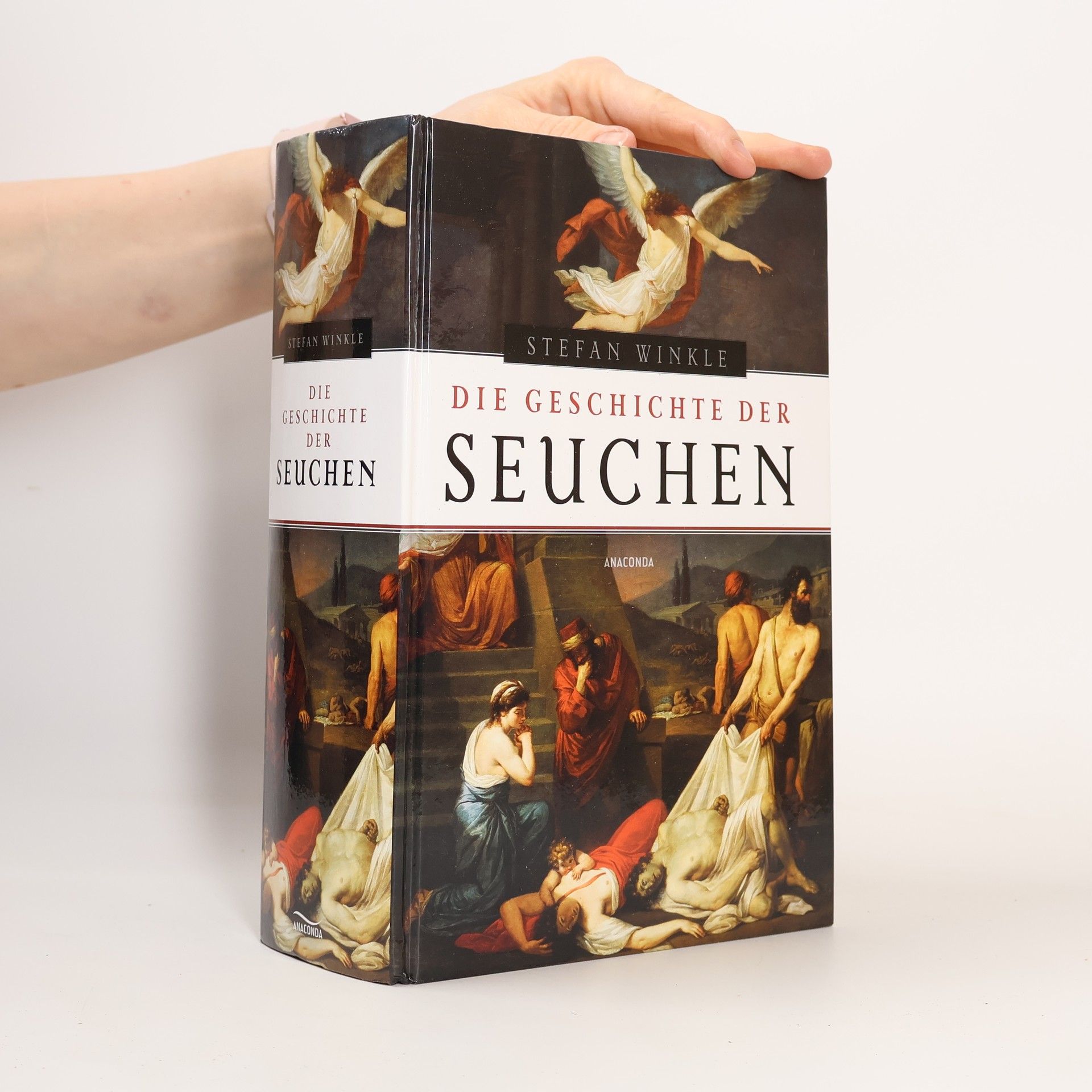 Stefan Winkle Die Geschichte der Seuchen