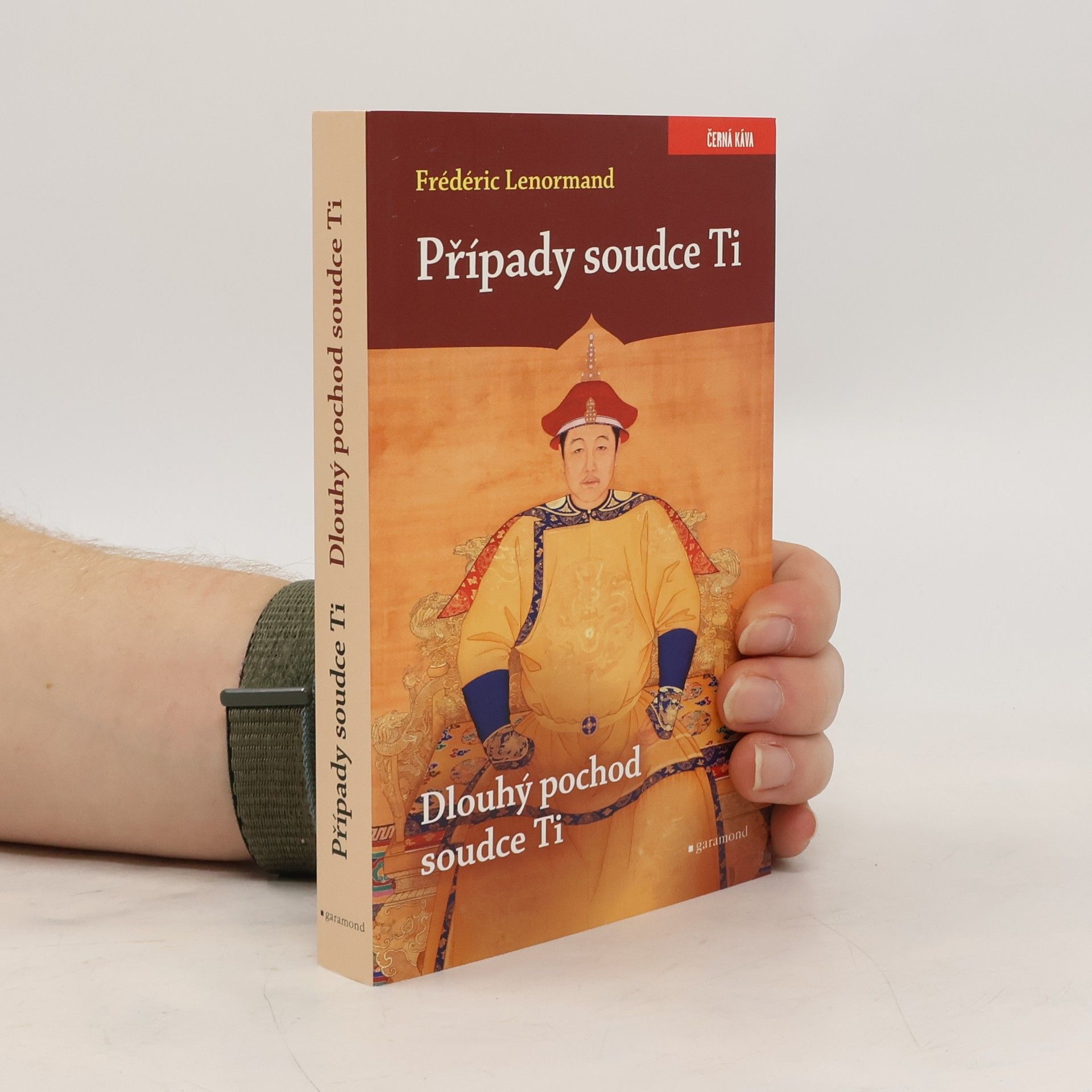 Případy soudce Ti. Dlouhý pochod soudce Ti