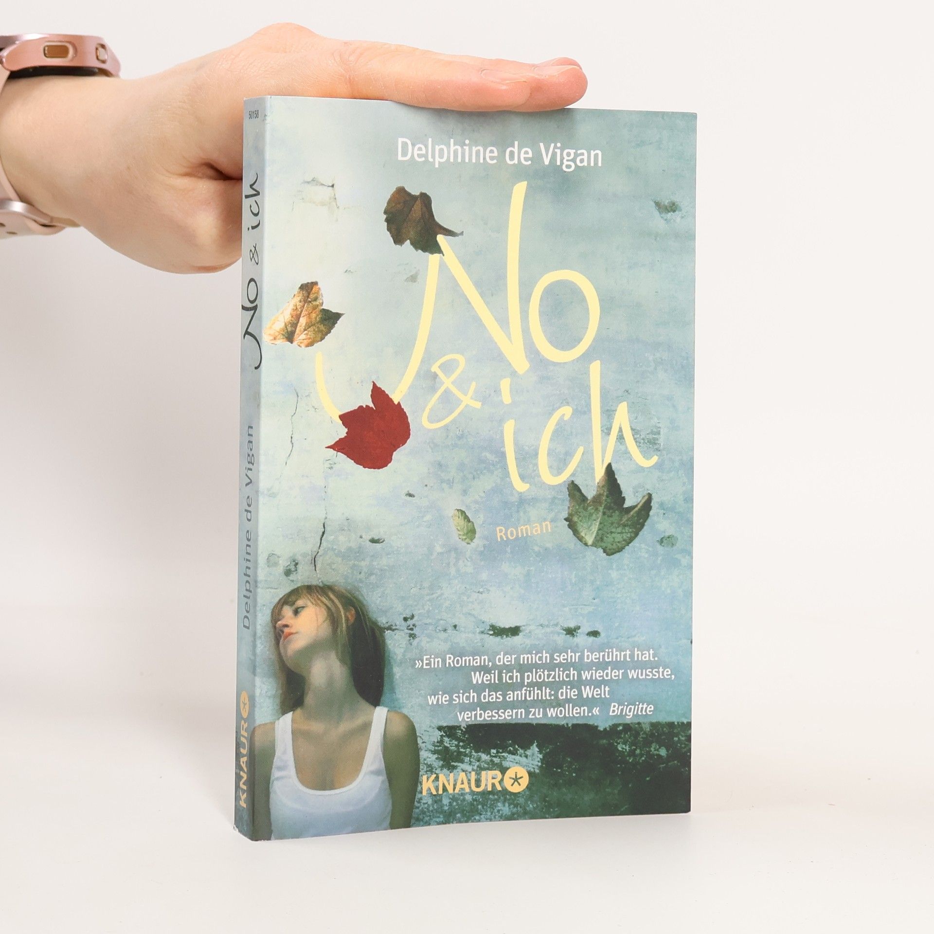 Delphine de Vigan No & ich