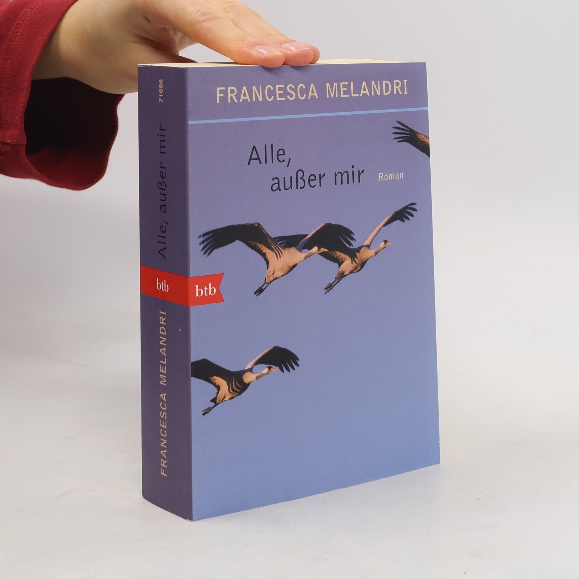 Francesca Melandri Alle, außer mir