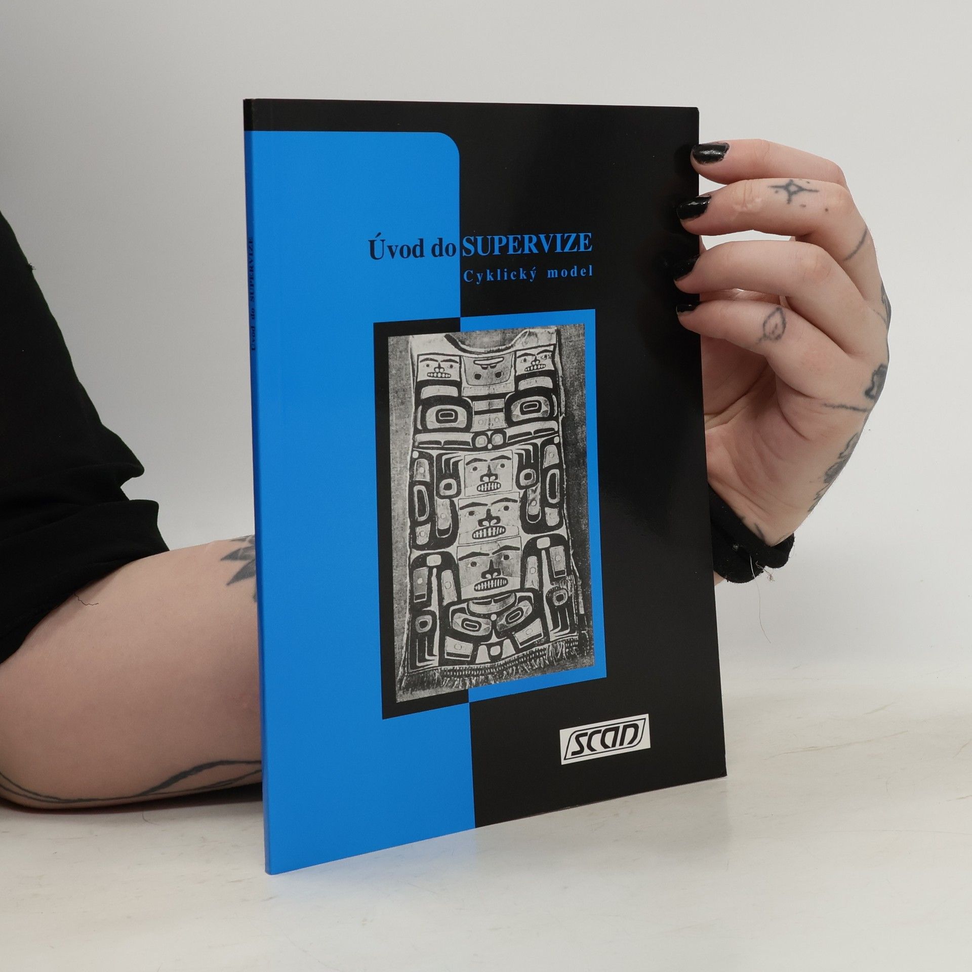 František Šalé Úvod do supervize: Cyklický model