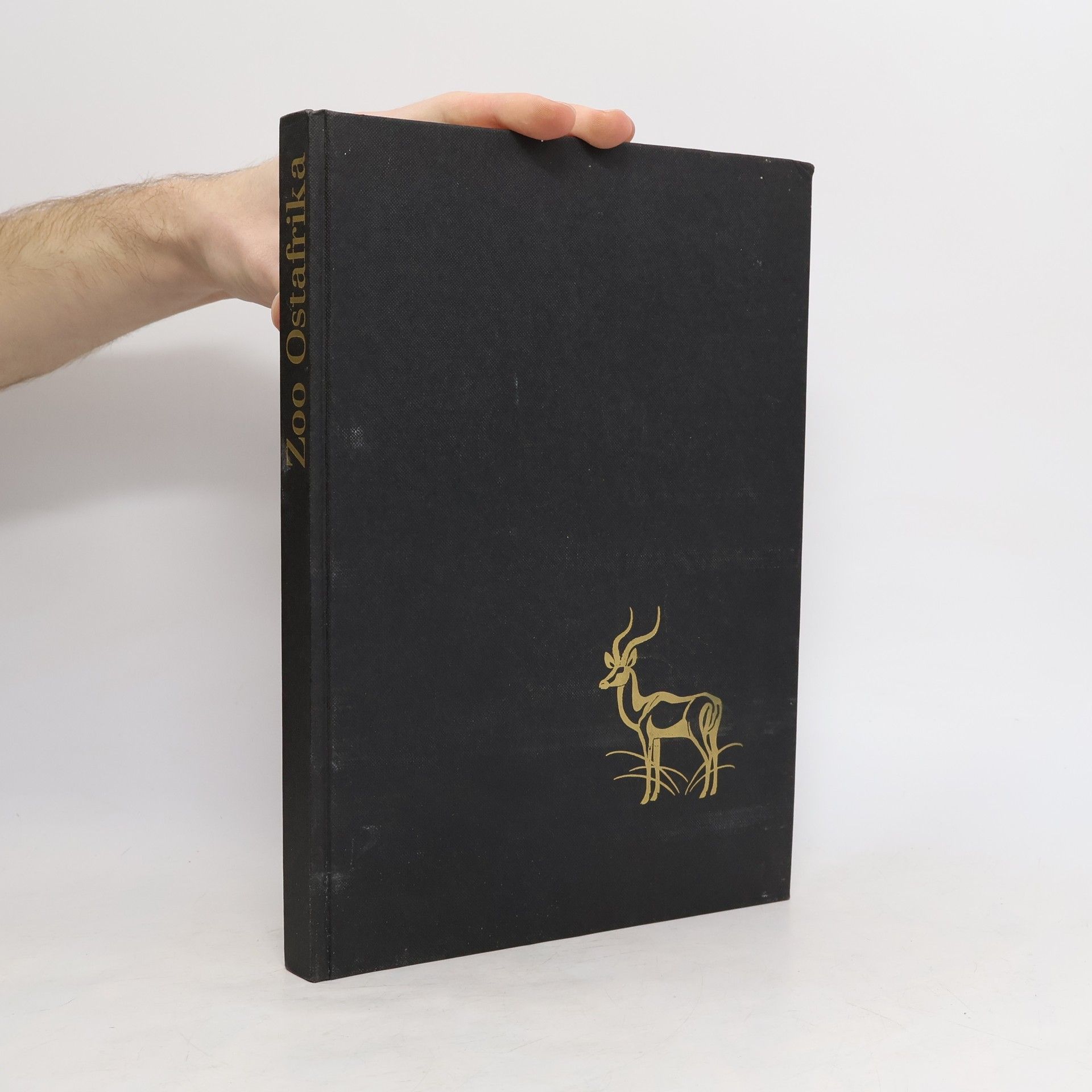 Autorenkollektiv Zoo Ostafrika