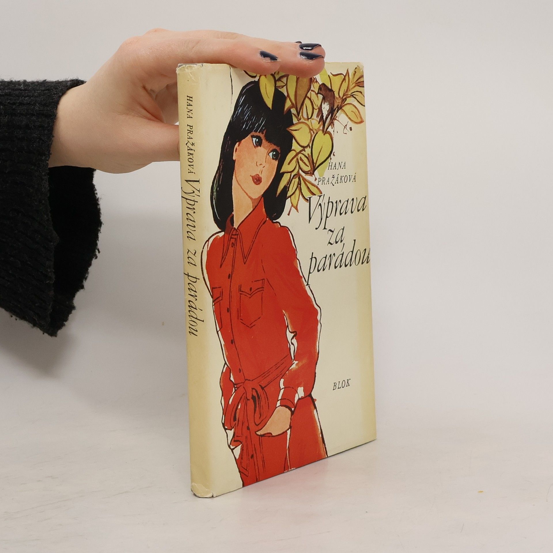 Výprava za parádou