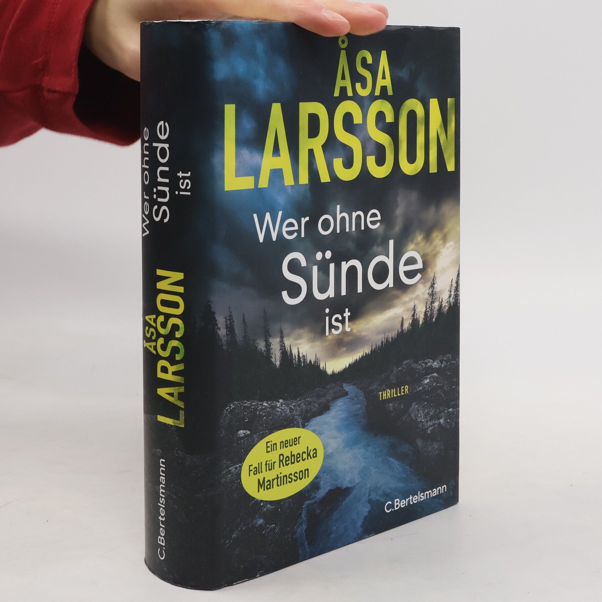 Åsa Larsson Wer ohne Sünde ist