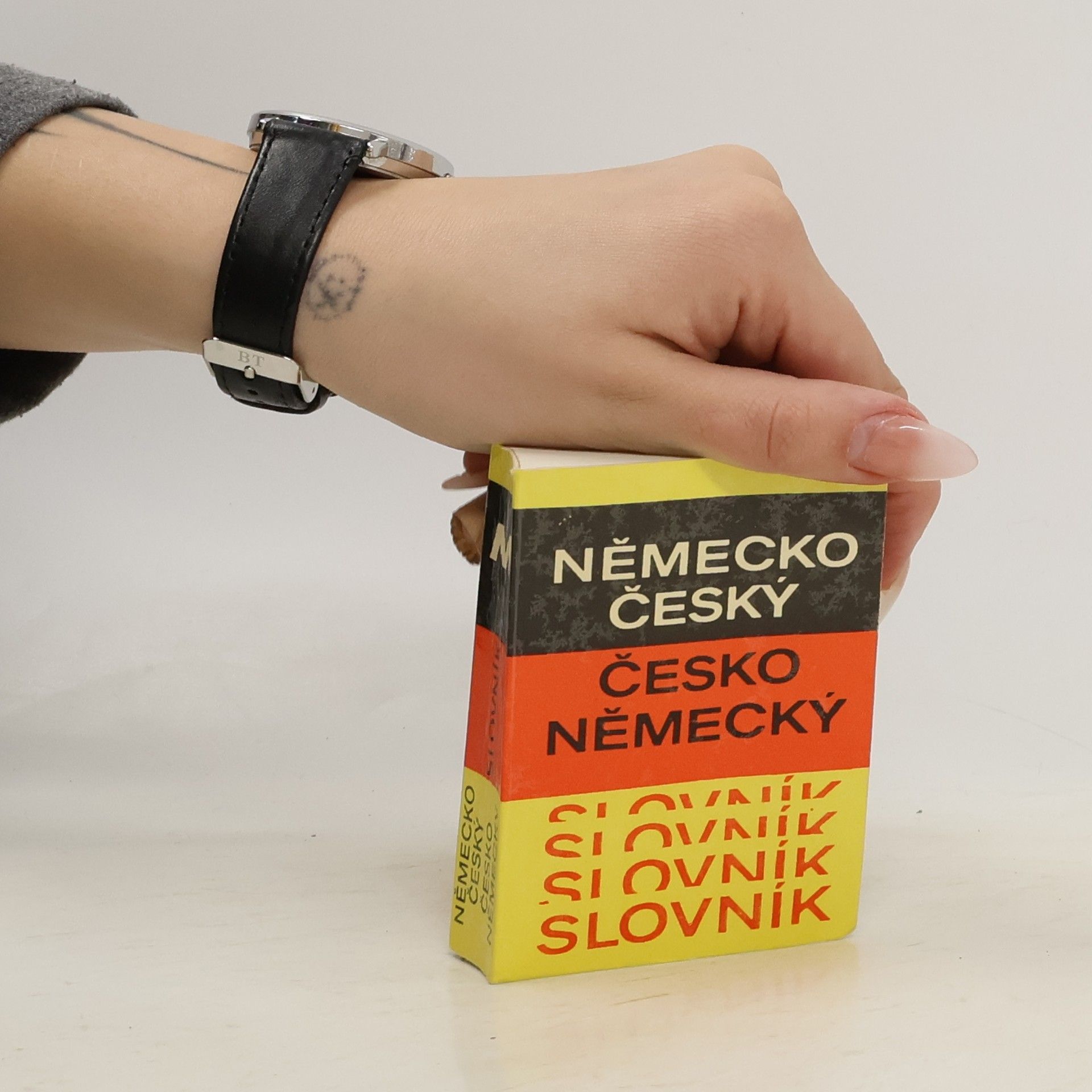 Autorenkollektiv Německo-český, česko-německý slovník