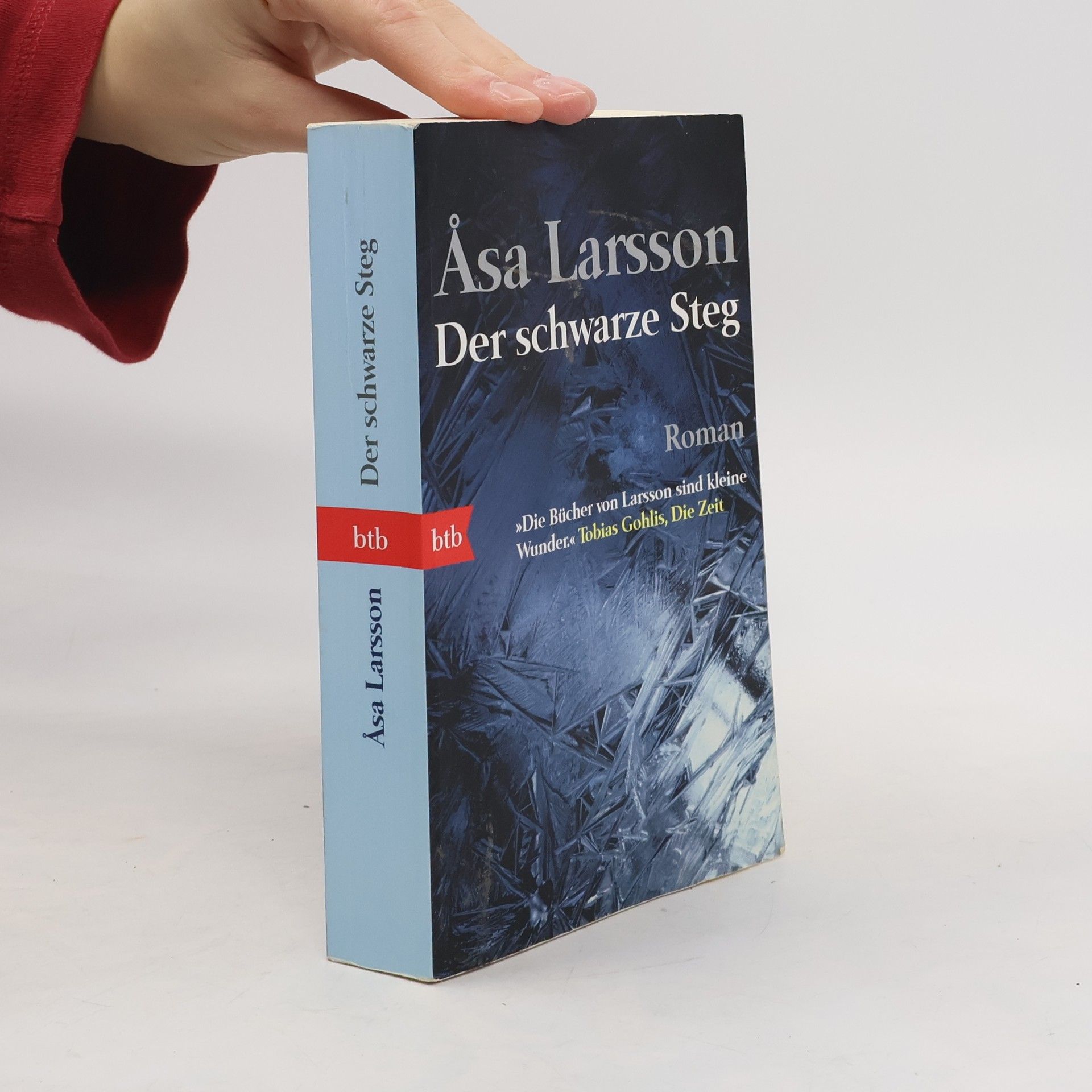 Åsa Larsson Der schwarze Steg